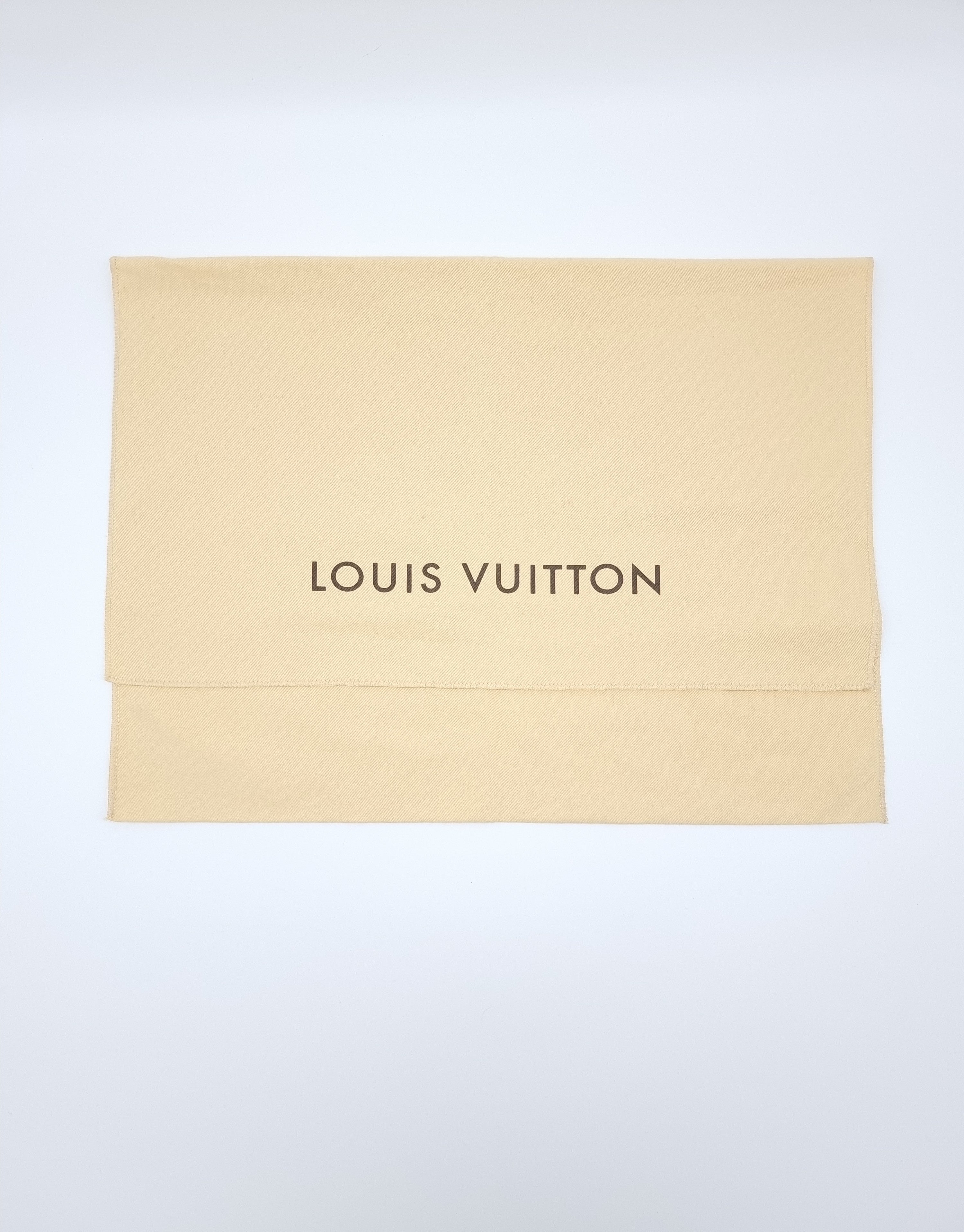 Louis Vuitton Looping GM