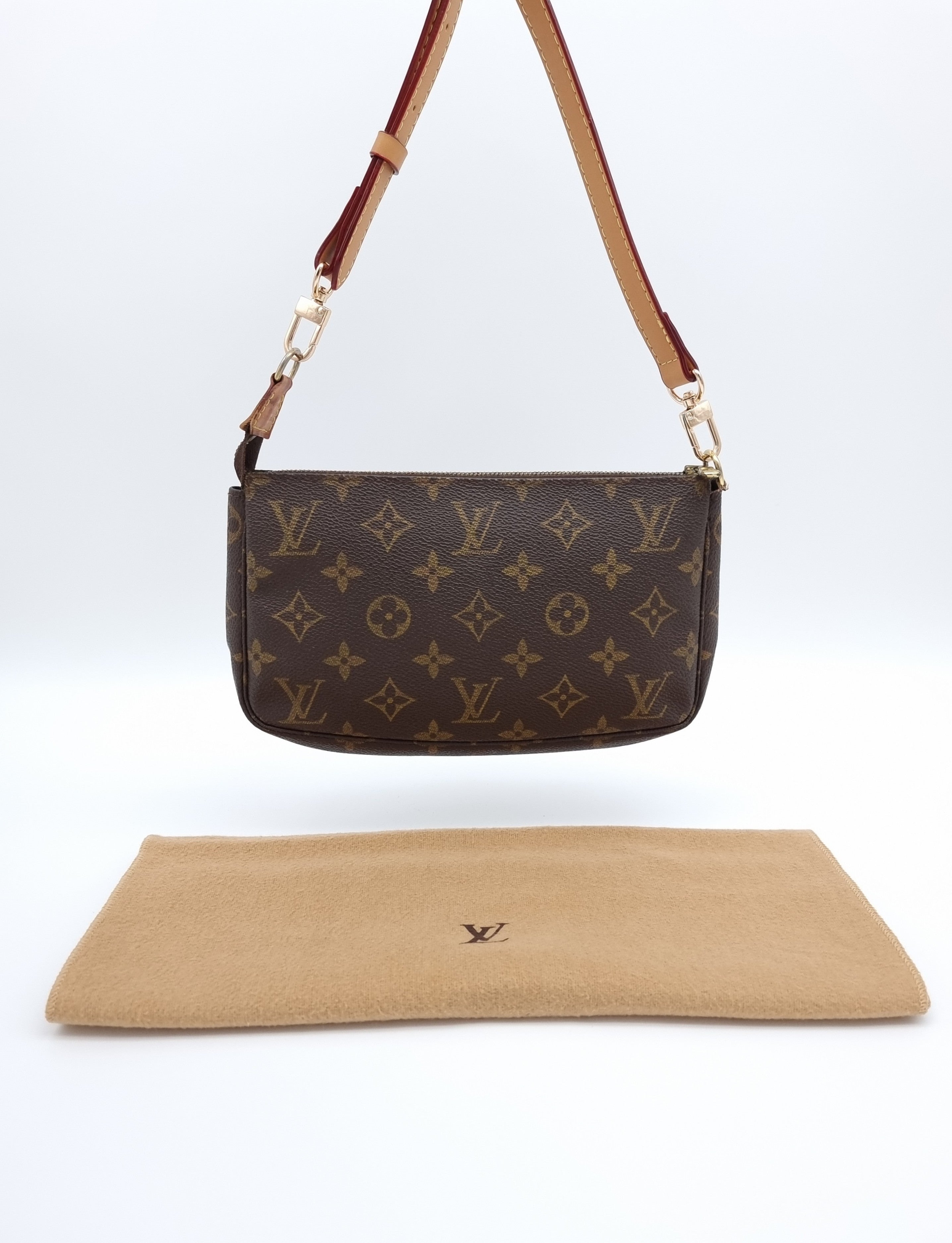 Louis Vuitton Pochette Accessoires