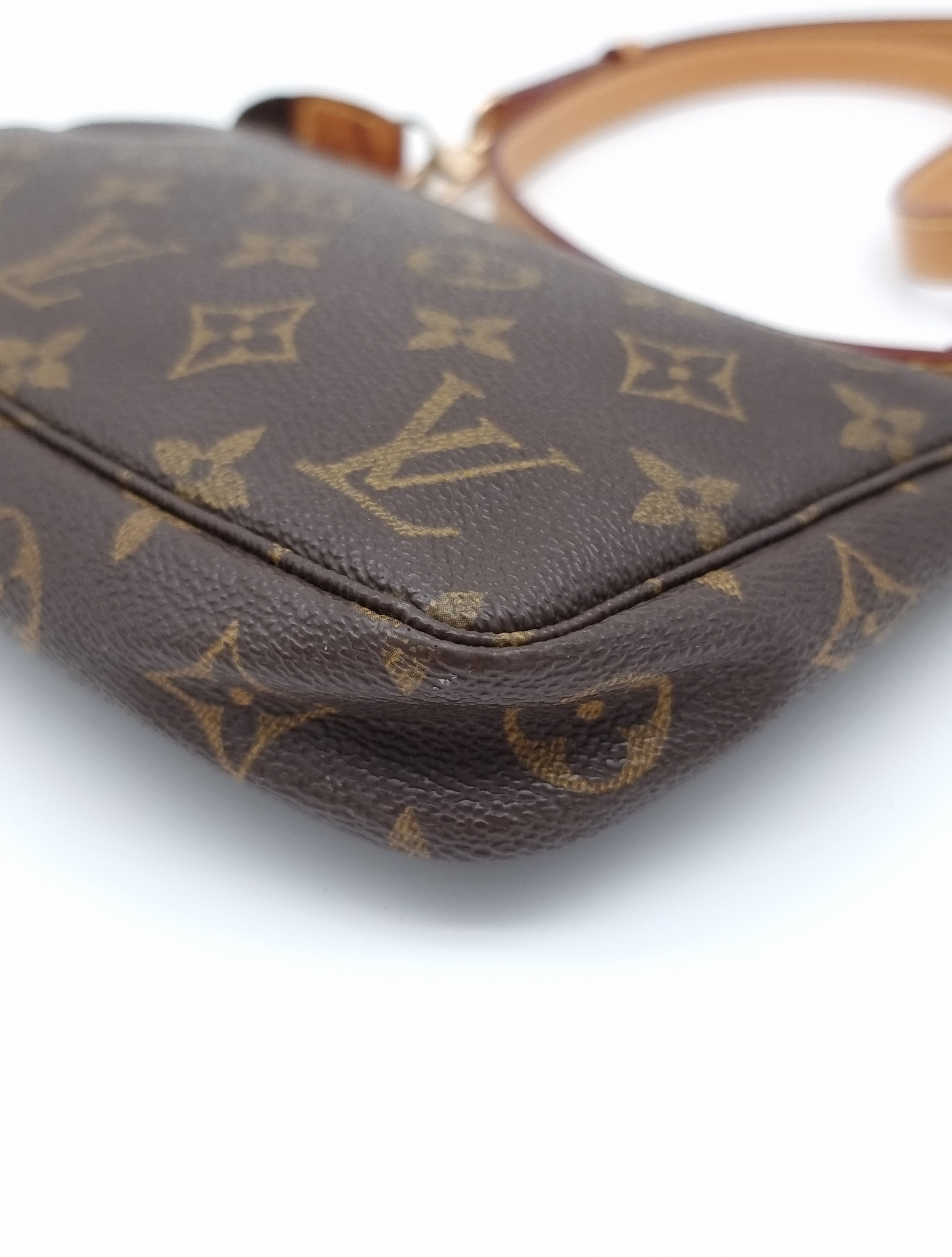Louis Vuitton Pochette Accessoires