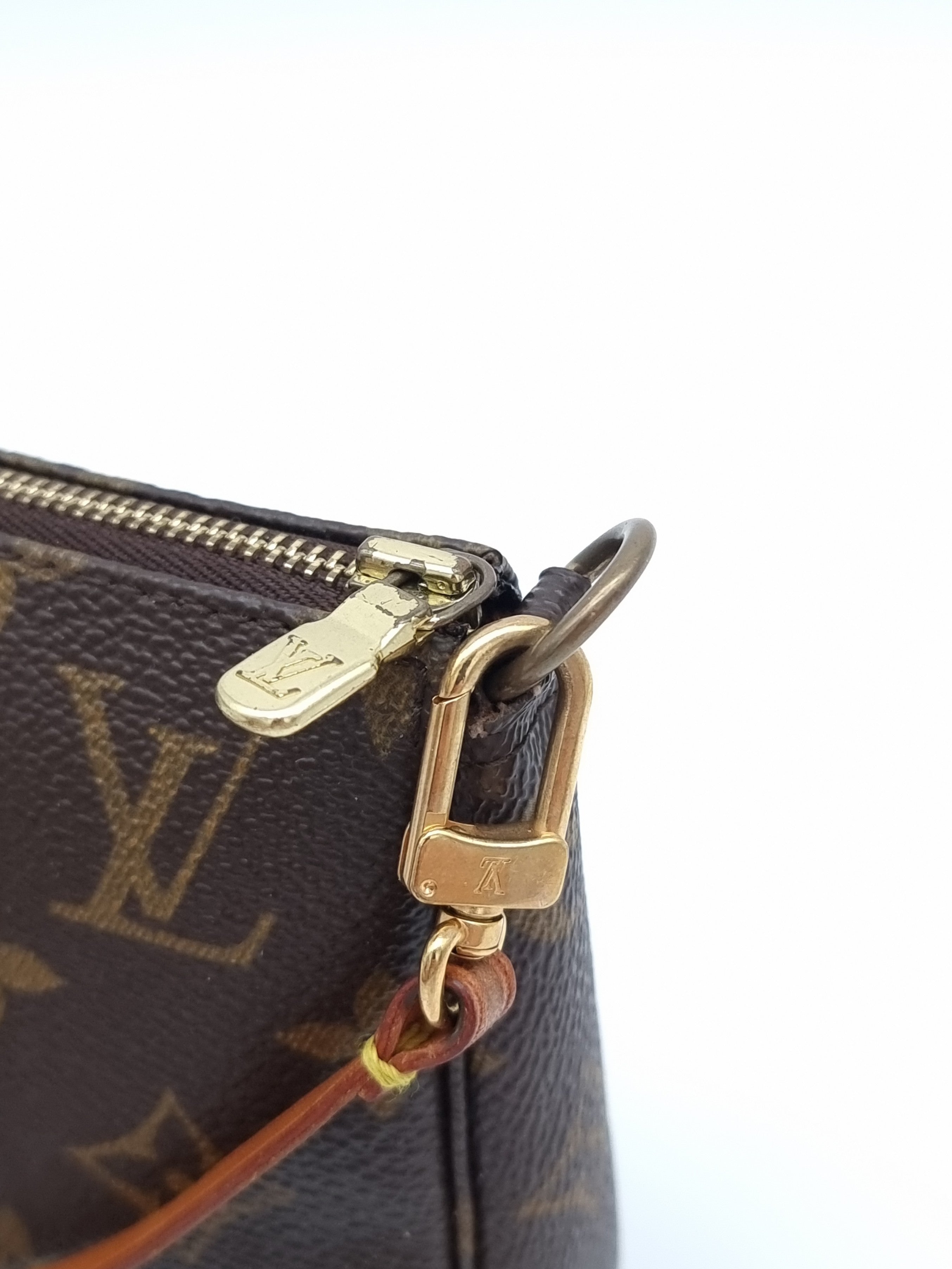 Louis Vuitton Pochette Accessoires