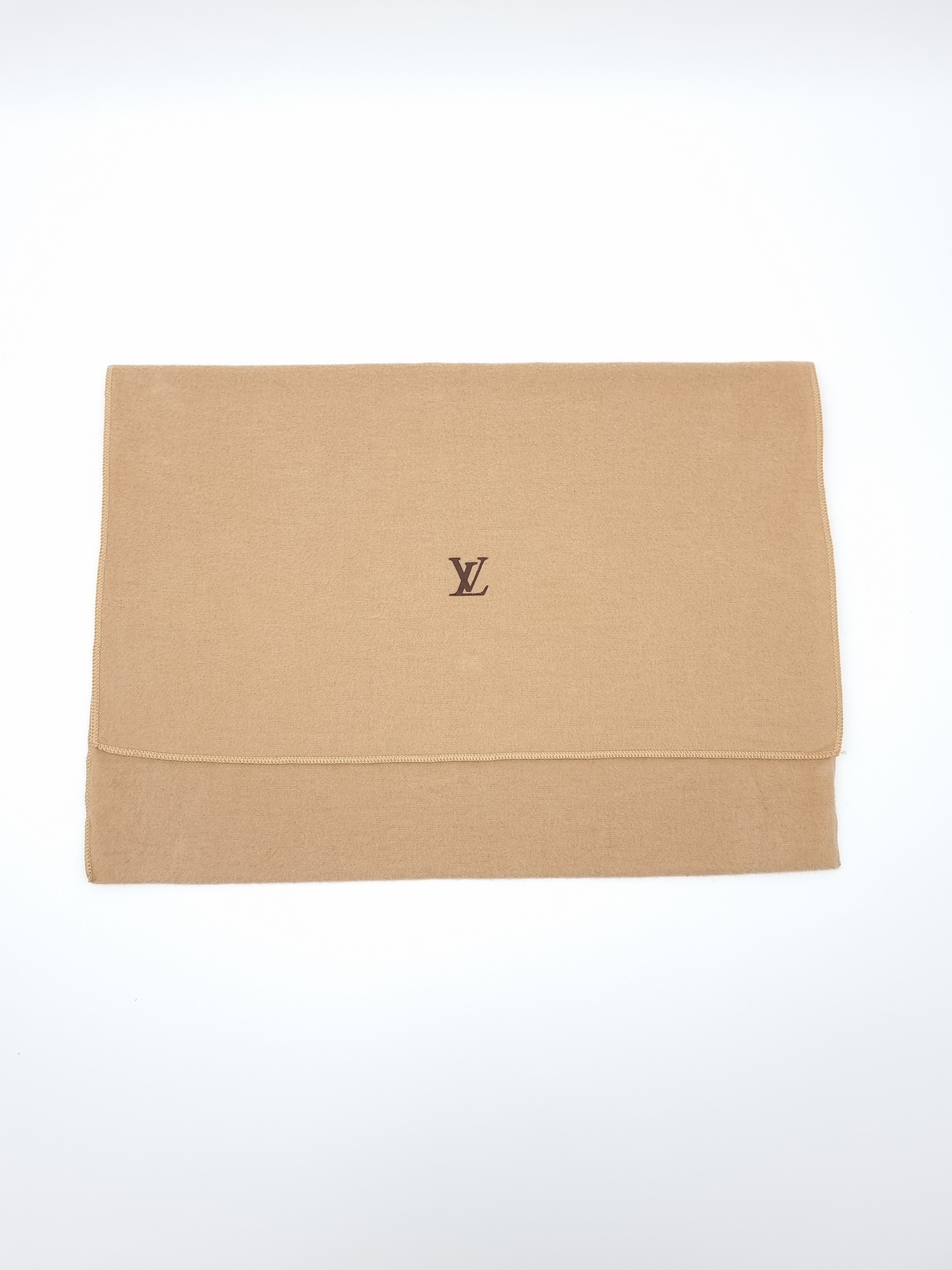 Louis Vuitton Pochette Accessoires