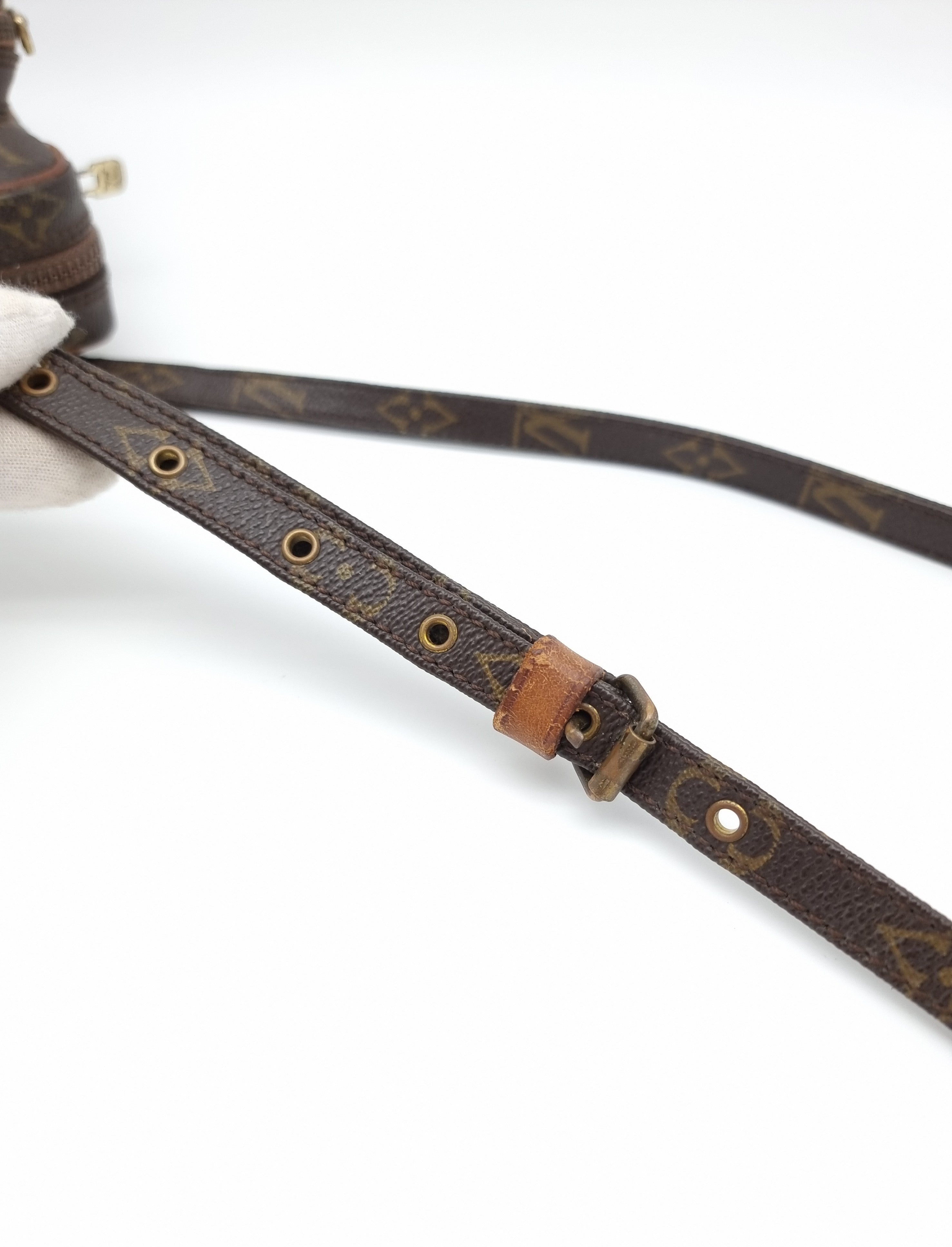 Louis Vuitton Amazone Mini