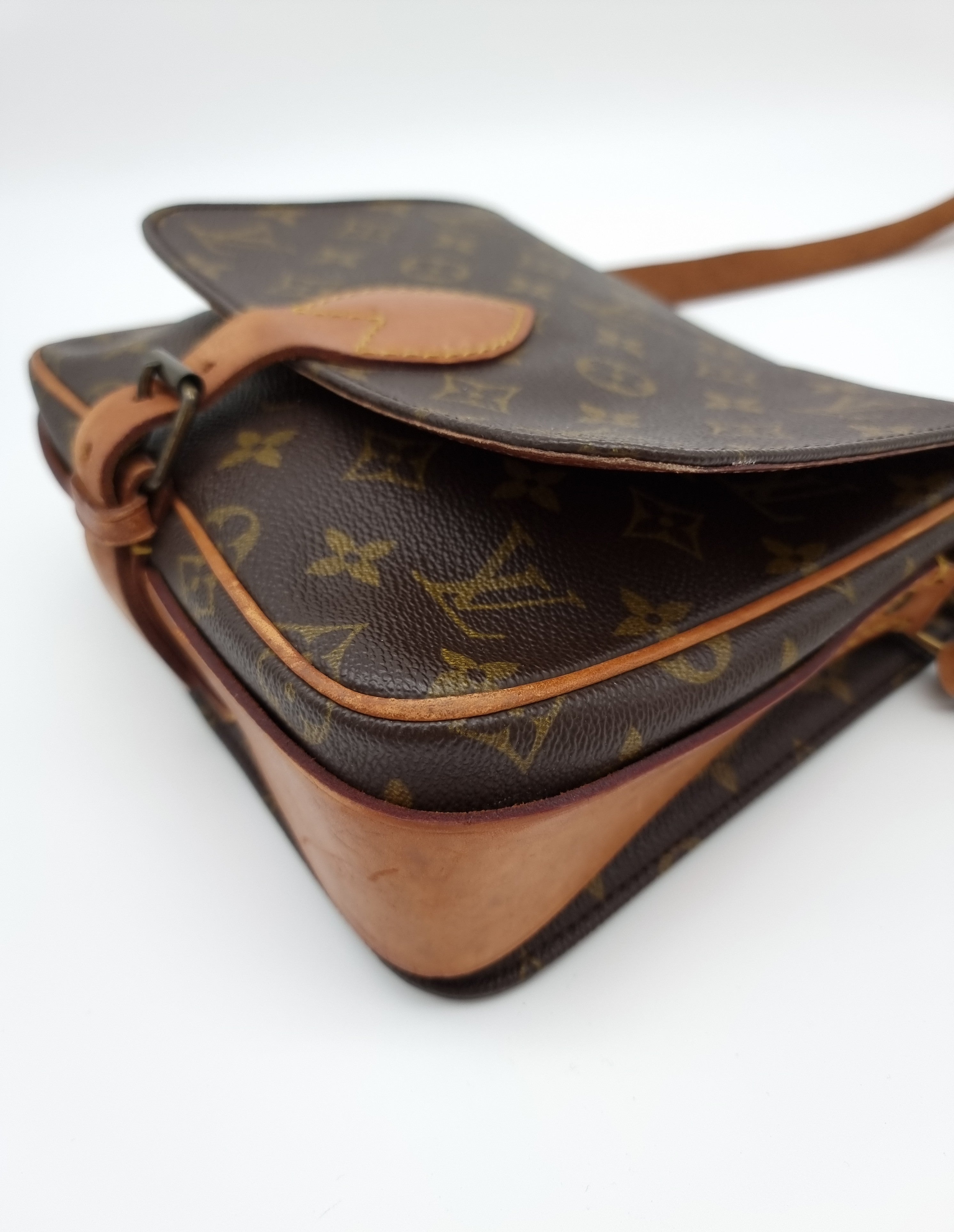 Louis Vuitton Cartouchiere MM