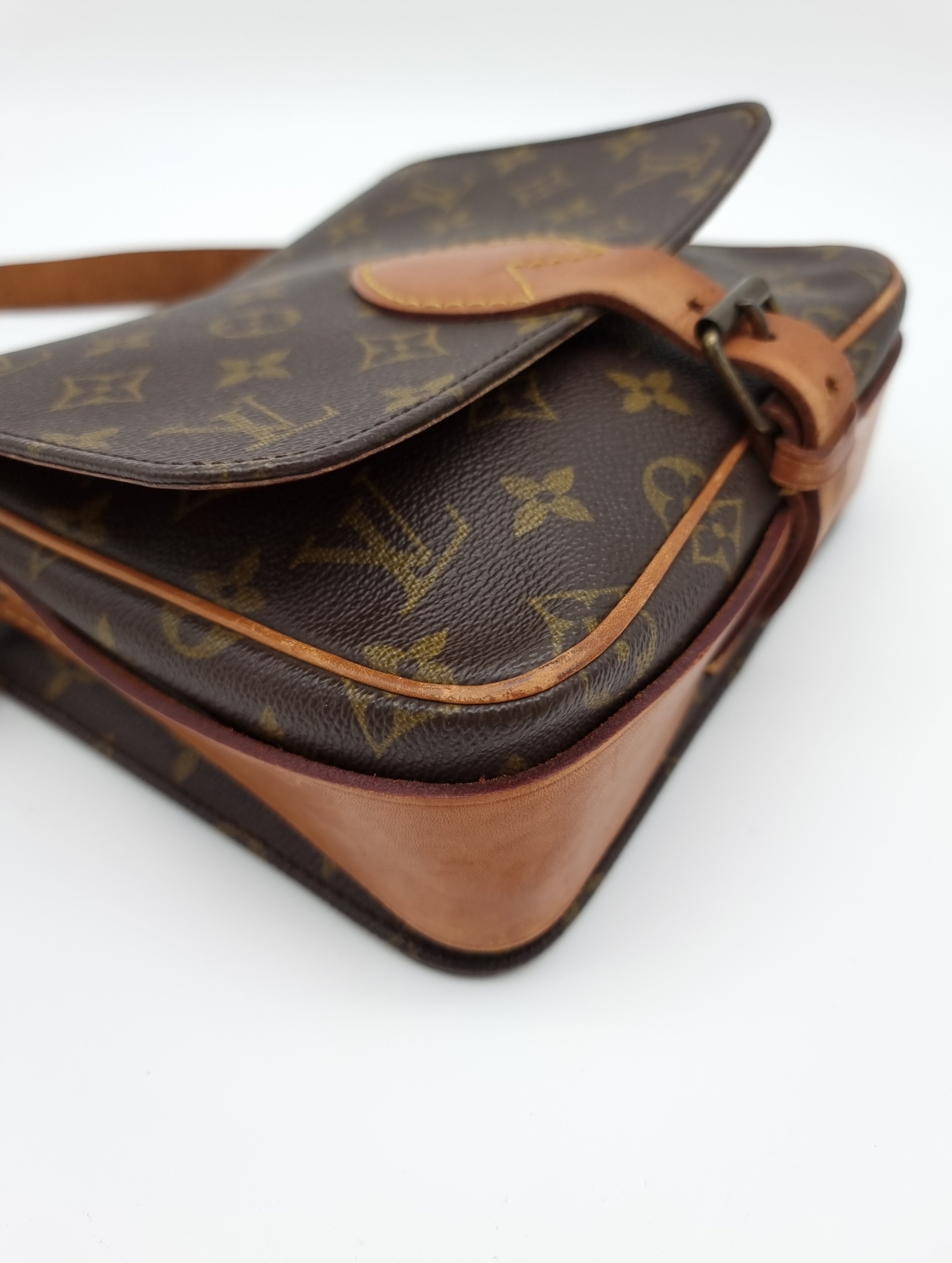 Louis Vuitton Cartouchiere MM