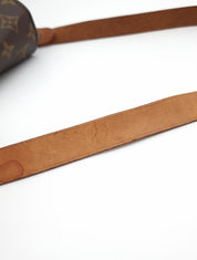 Louis Vuitton Cartouchiere MM