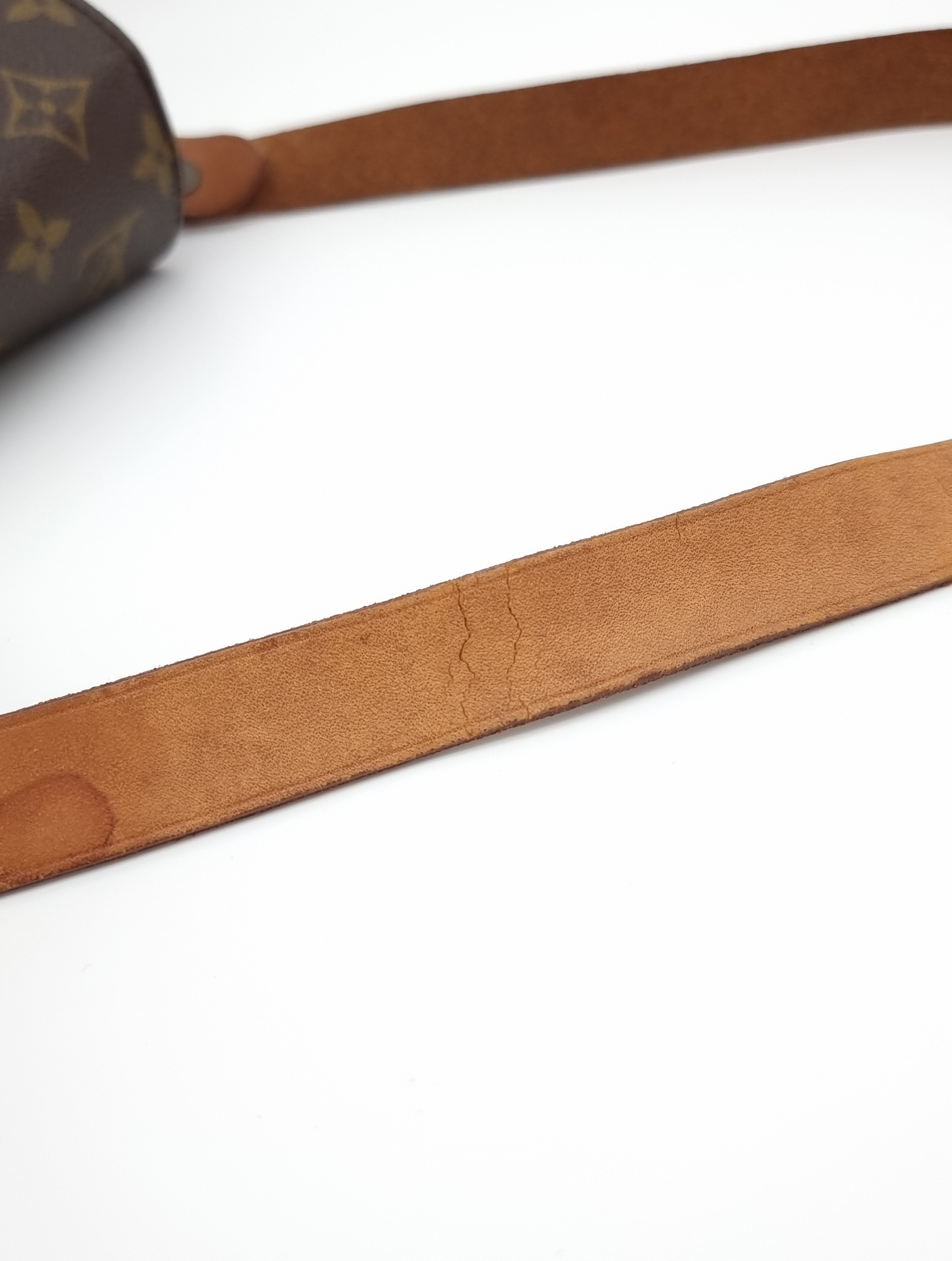 Louis Vuitton Cartouchiere MM