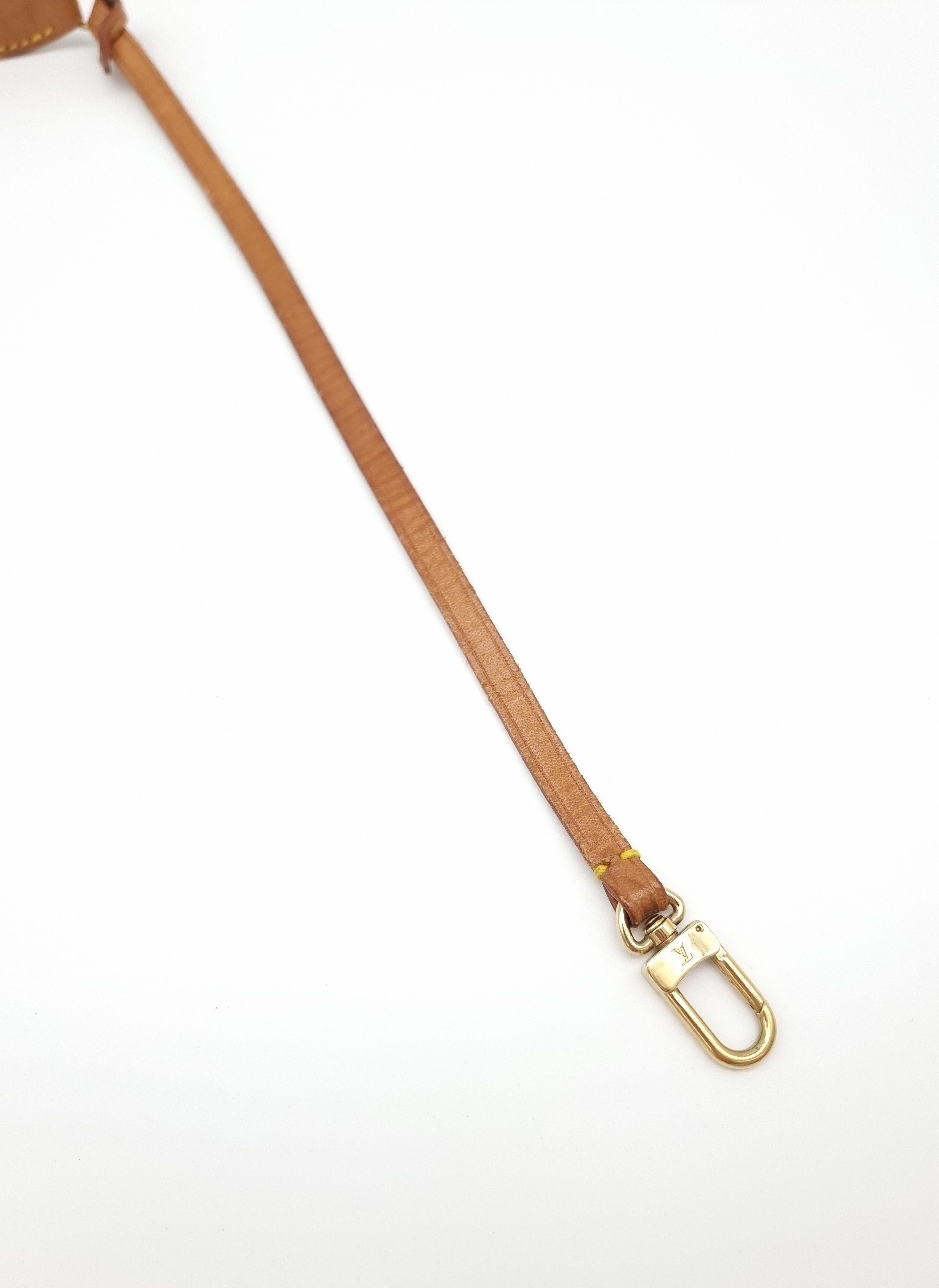 Louis Vuitton Pochette Accessoires