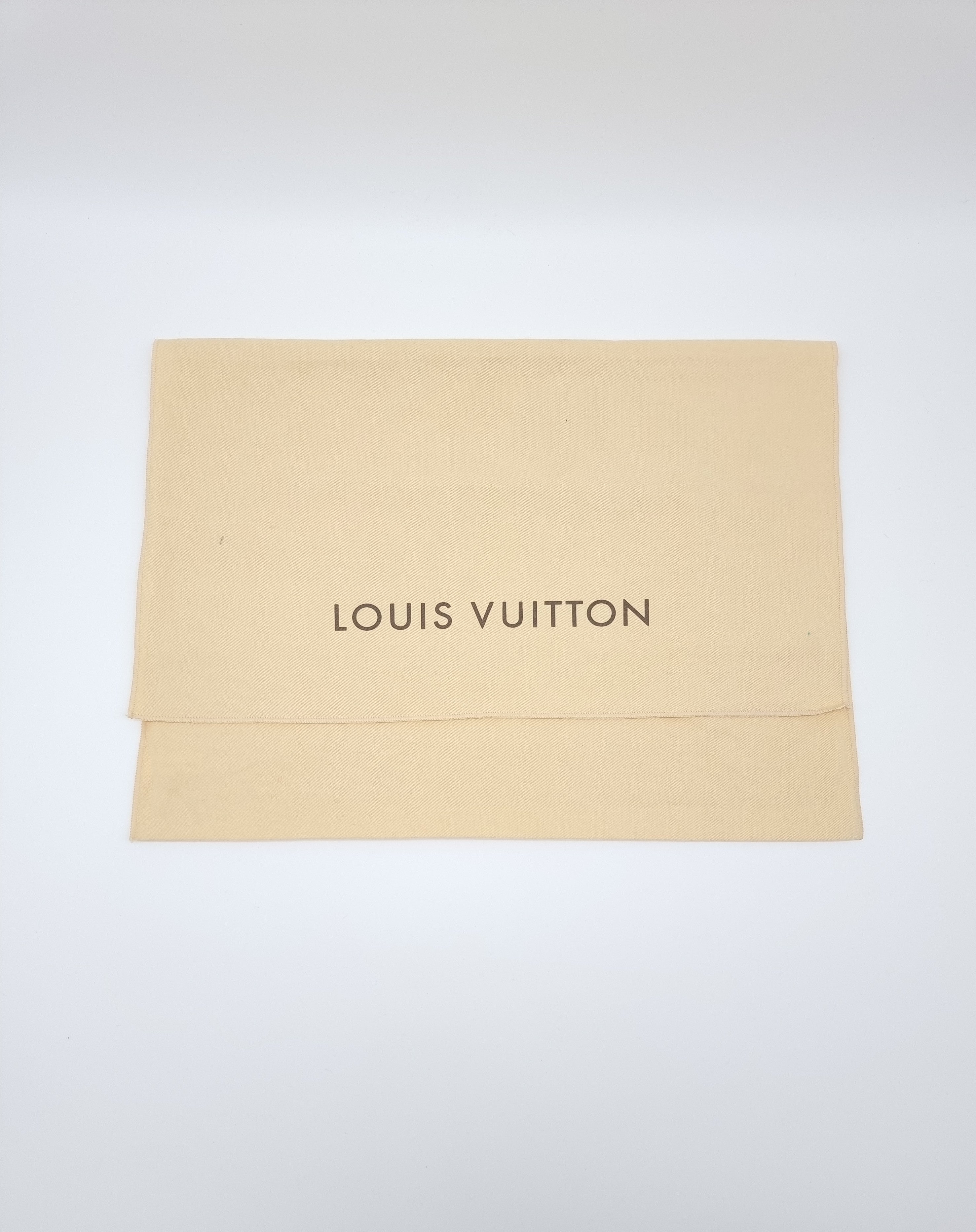 Louis Vuitton Looping GM