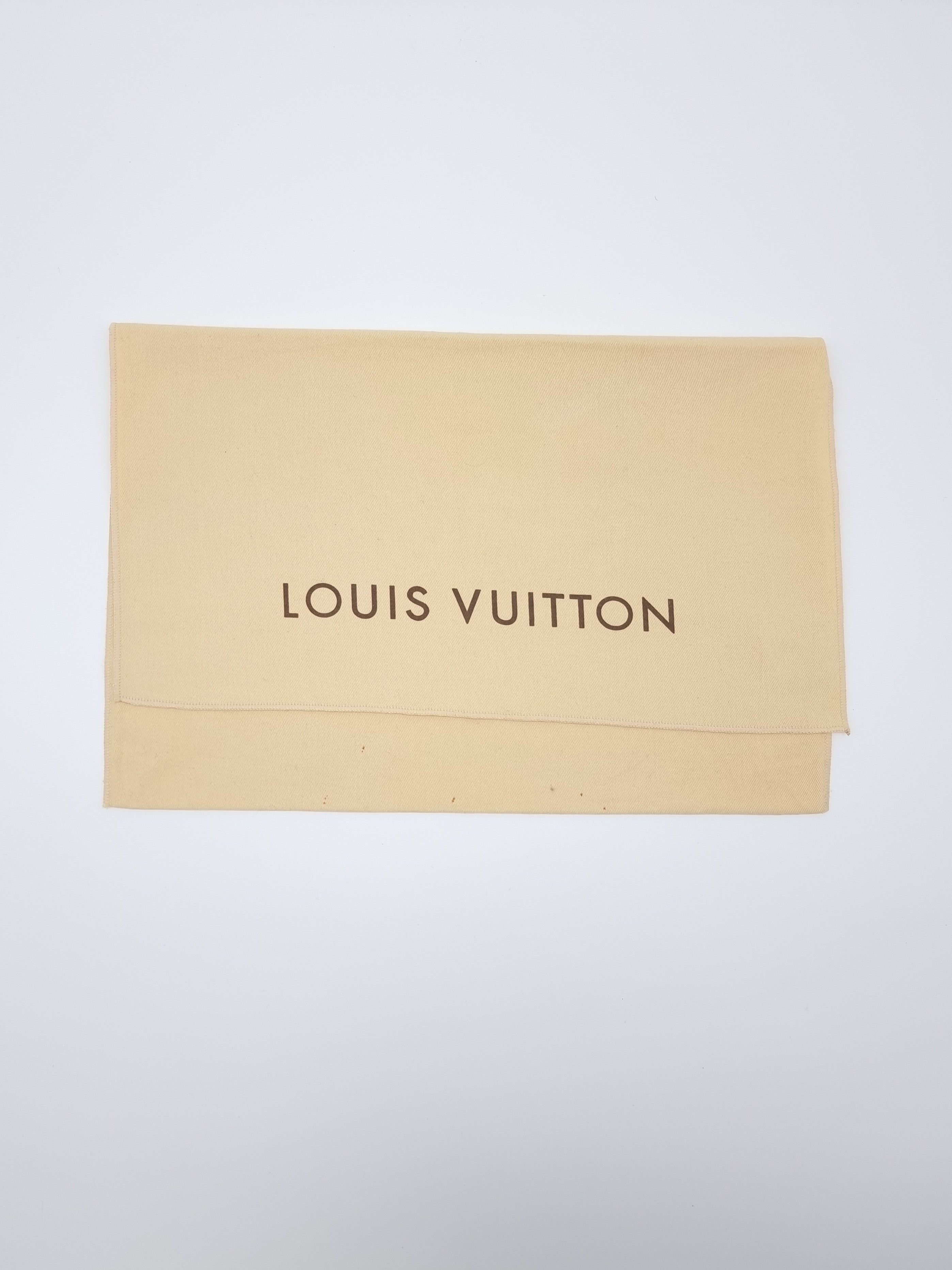 Louis Vuitton Pochette Accessoires