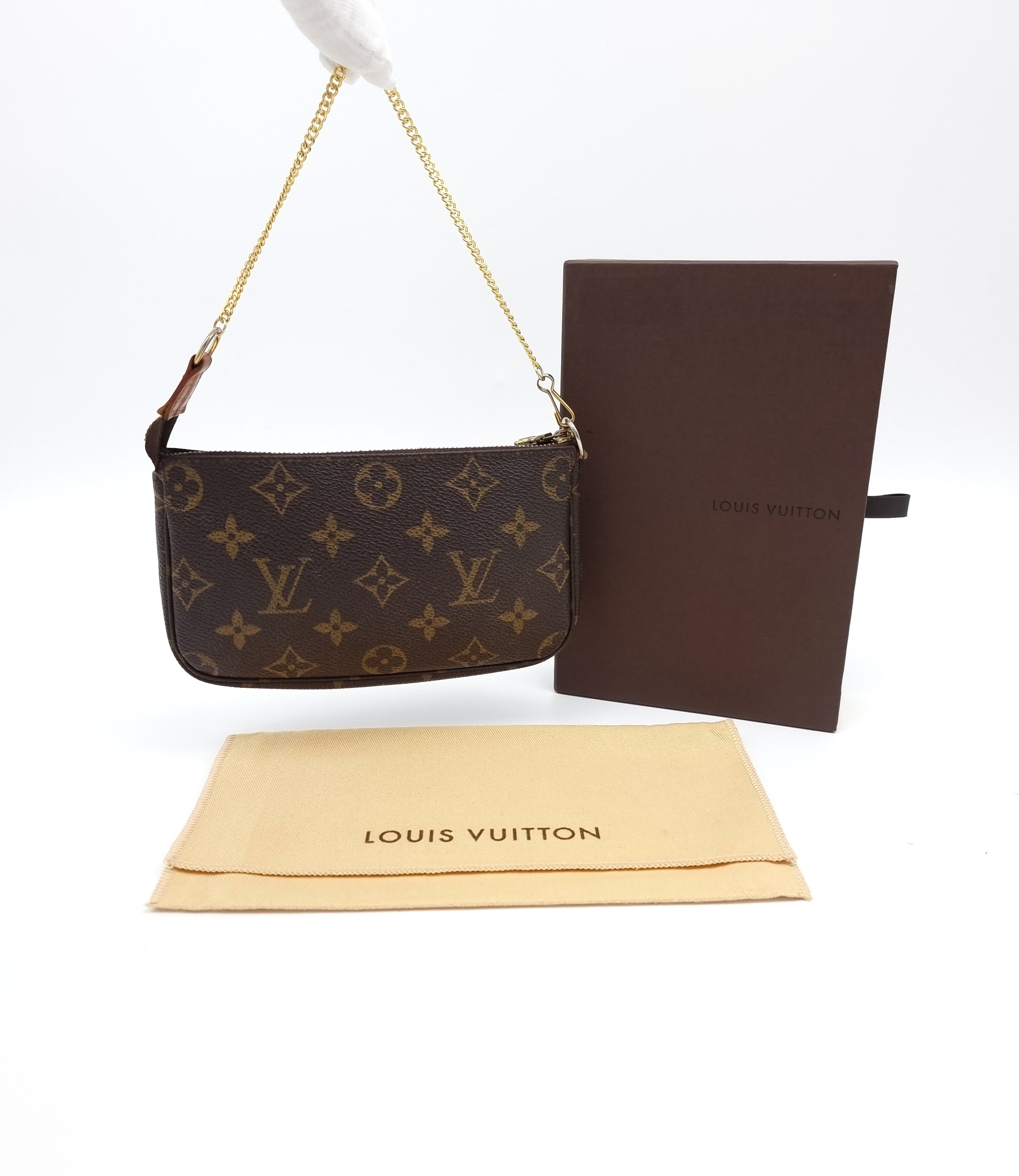 Louis Vuitton Pochette Accessoires Small