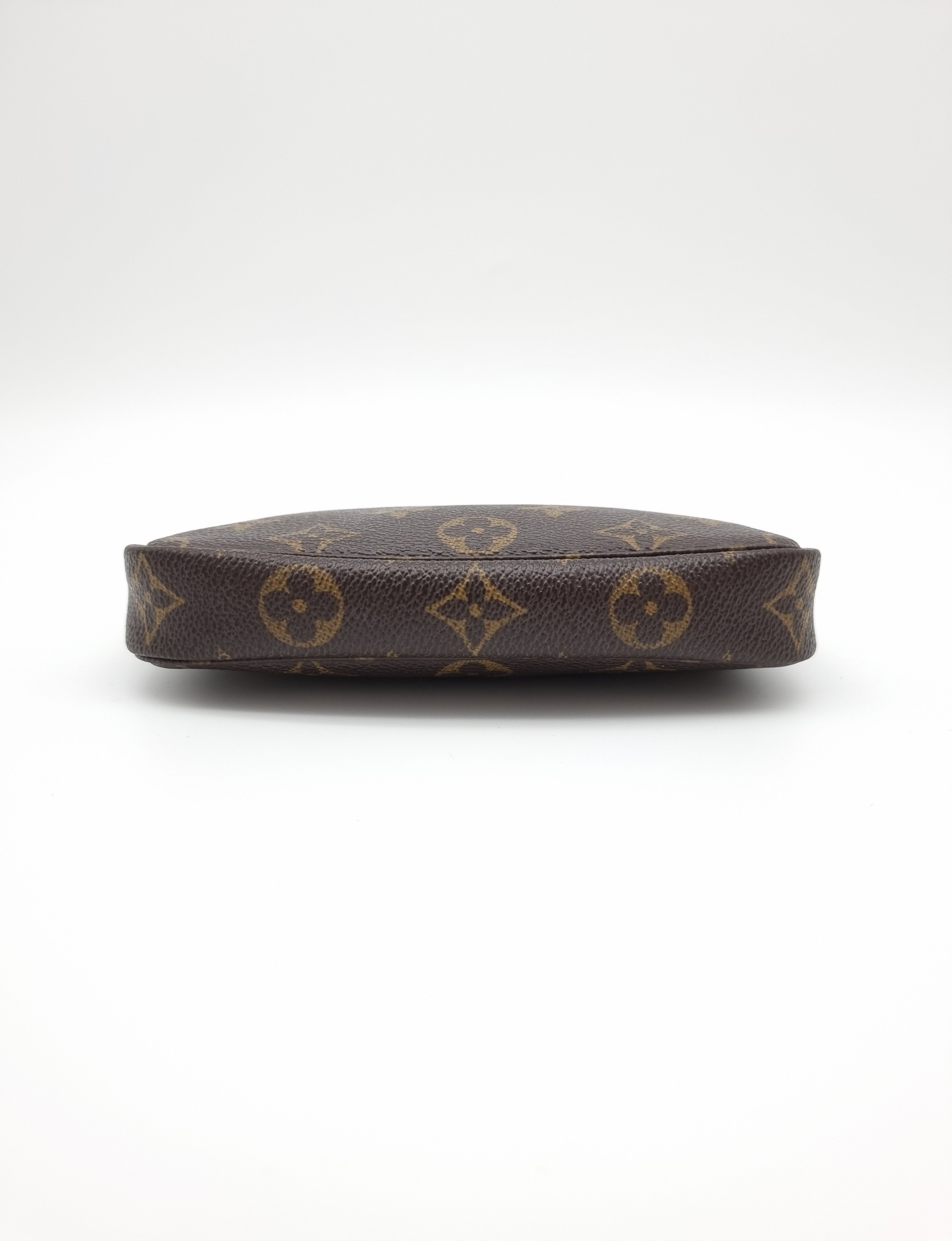Louis Vuitton Pochette Accessoires Small