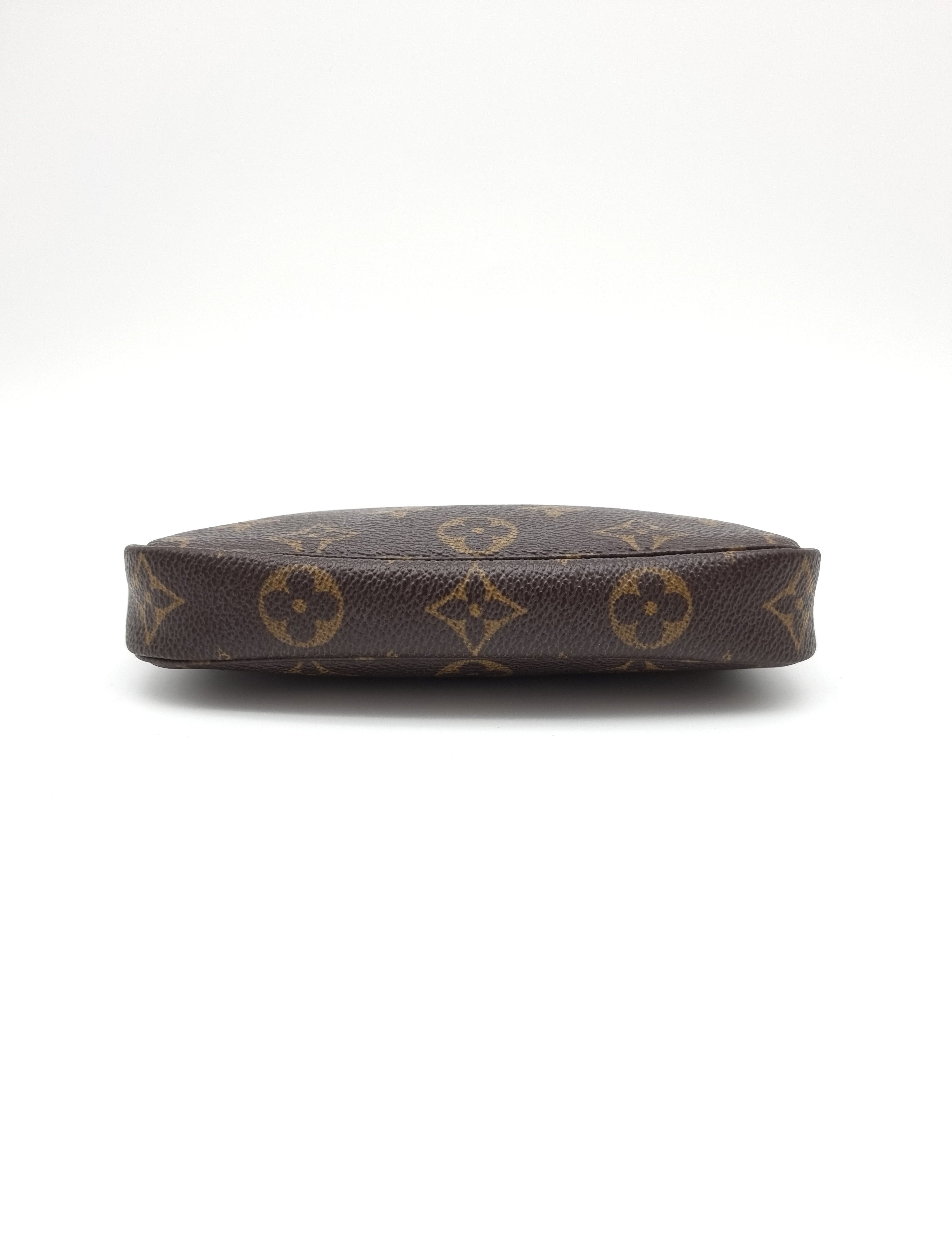 Louis Vuitton Pochette Accessoires Small