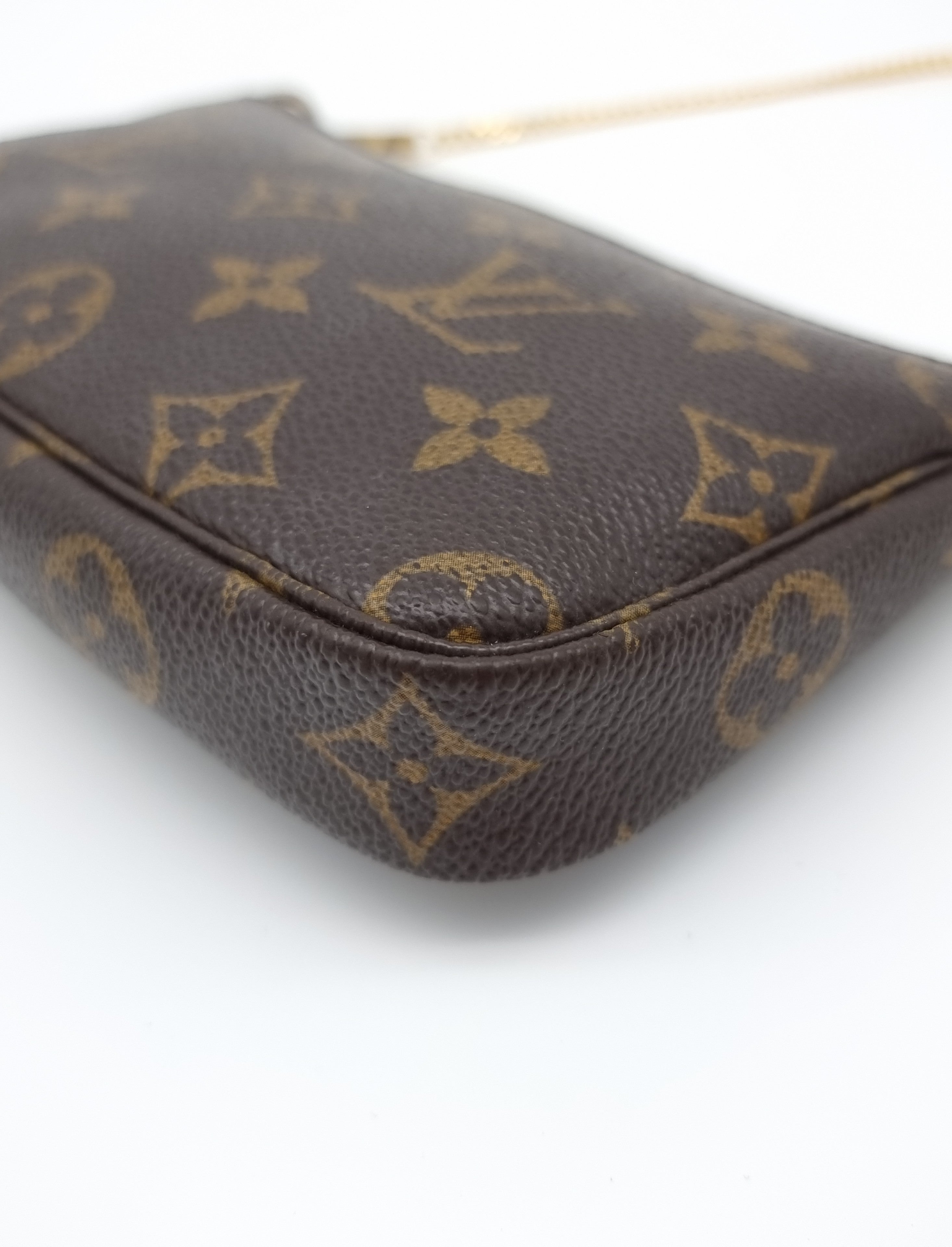 Louis Vuitton Pochette Accessoires Small