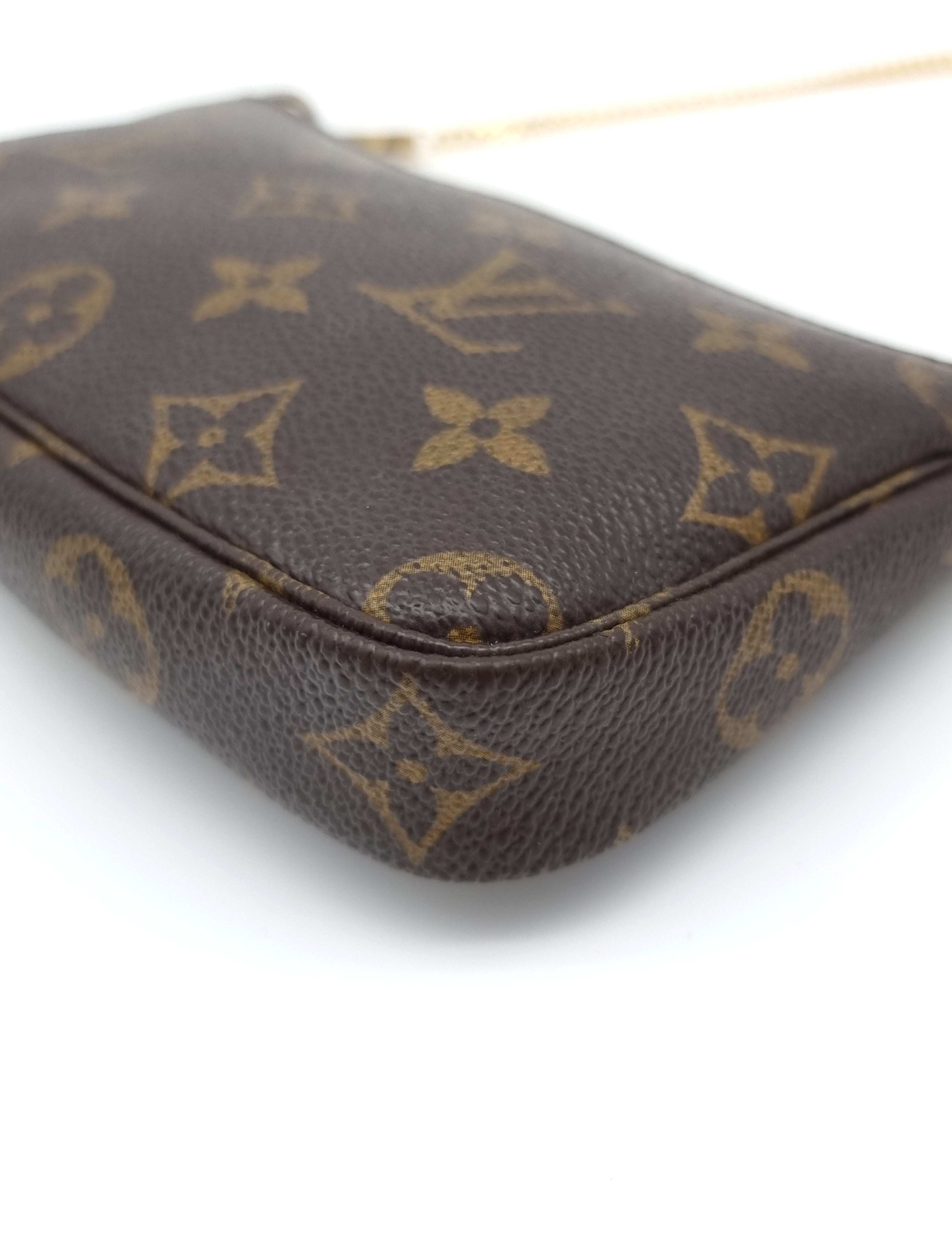 Louis Vuitton Pochette Accessoires Small