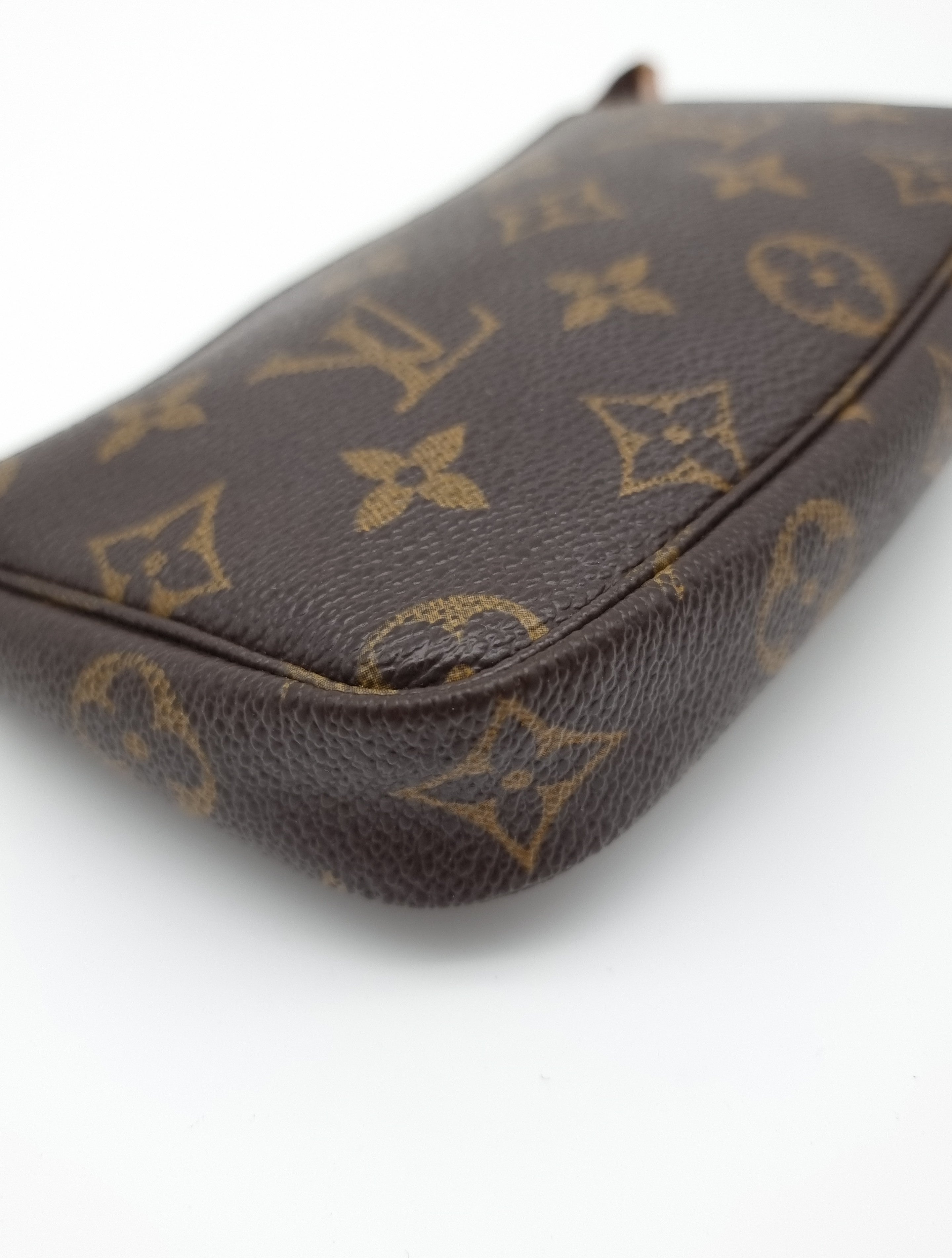 Louis Vuitton Pochette Accessoires Small