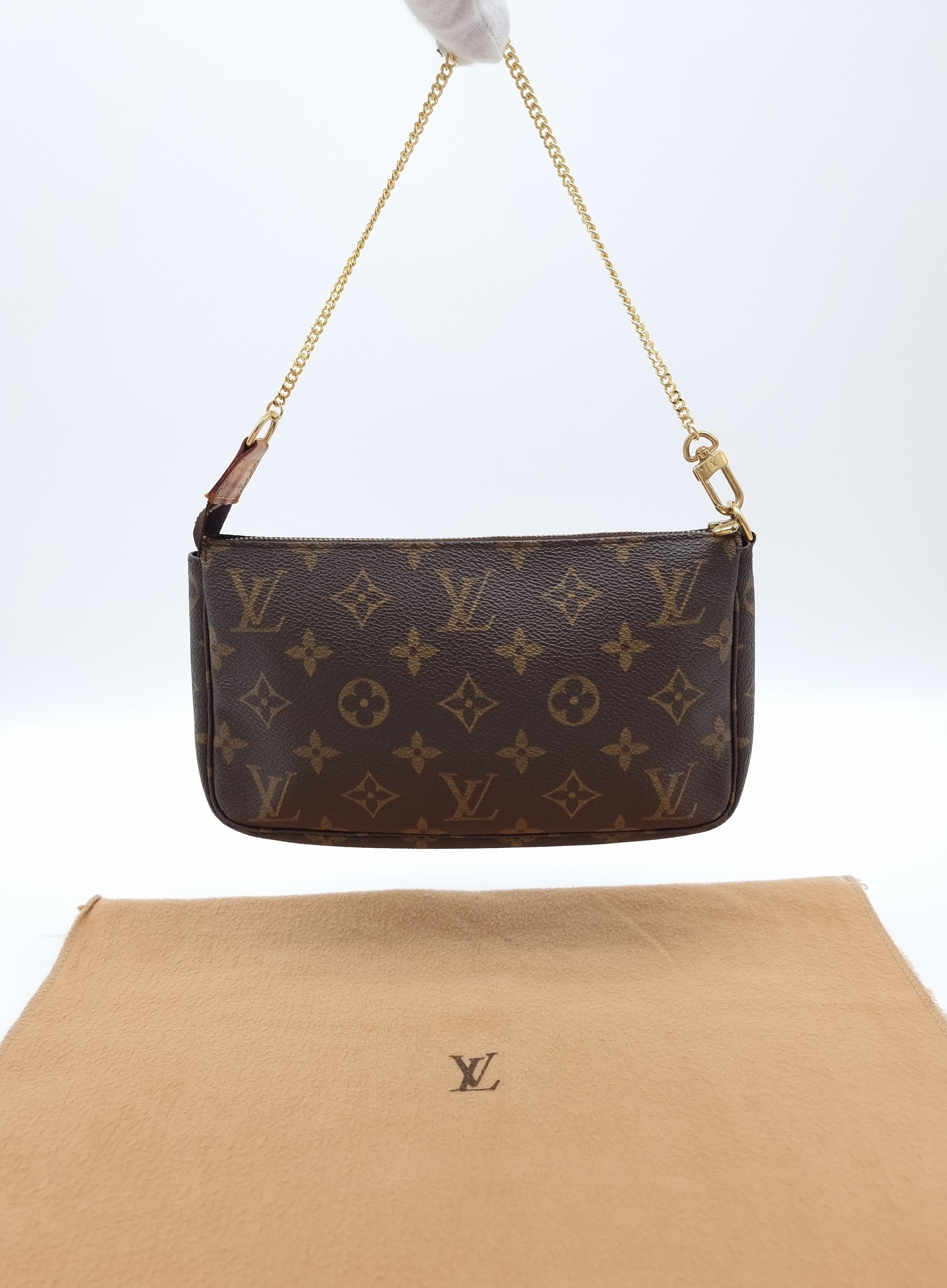 Louis Vuitton Pochette Accessoires