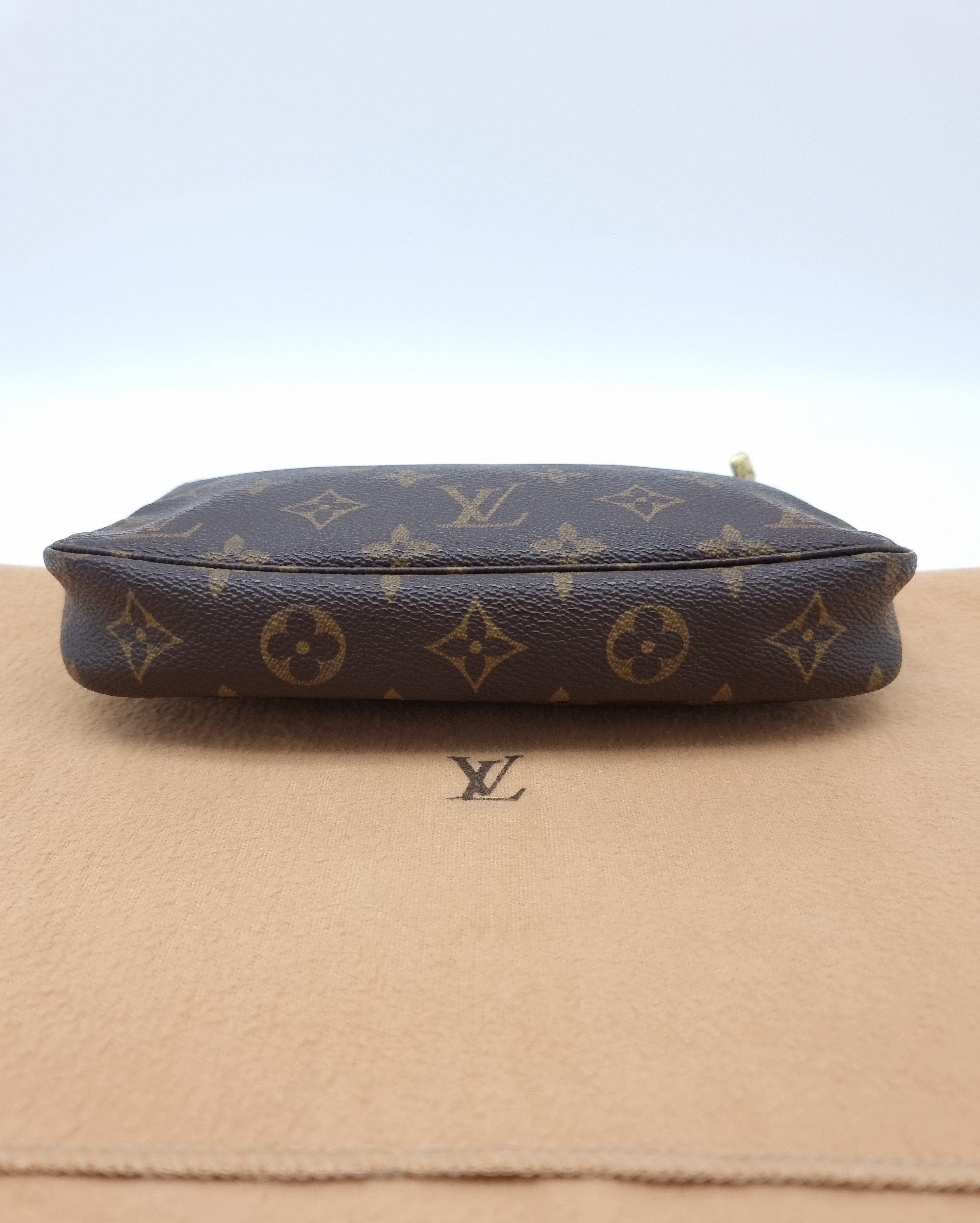 Louis Vuitton Pochette Accessoires