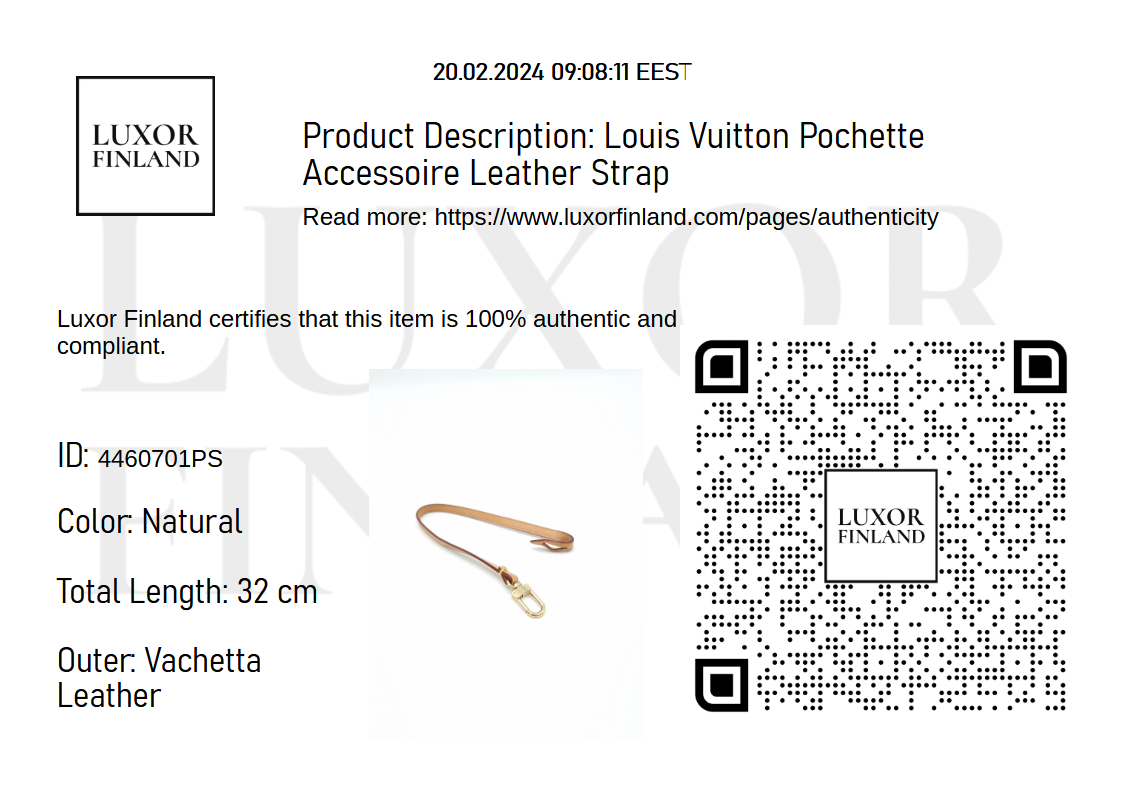 Louis Vuitton Pochette Accessoires Leather Strap