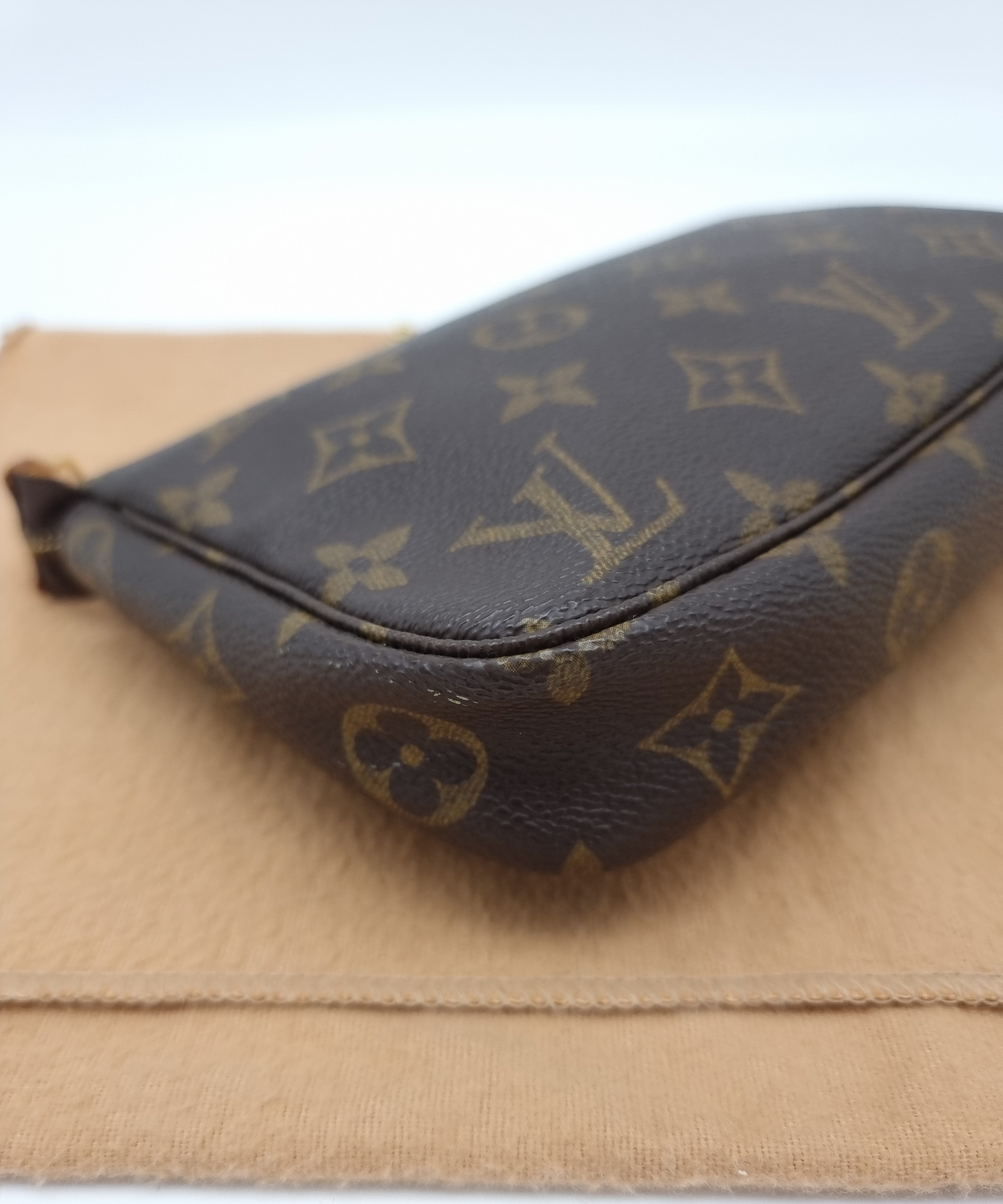 Louis Vuitton Pochette Accessoires