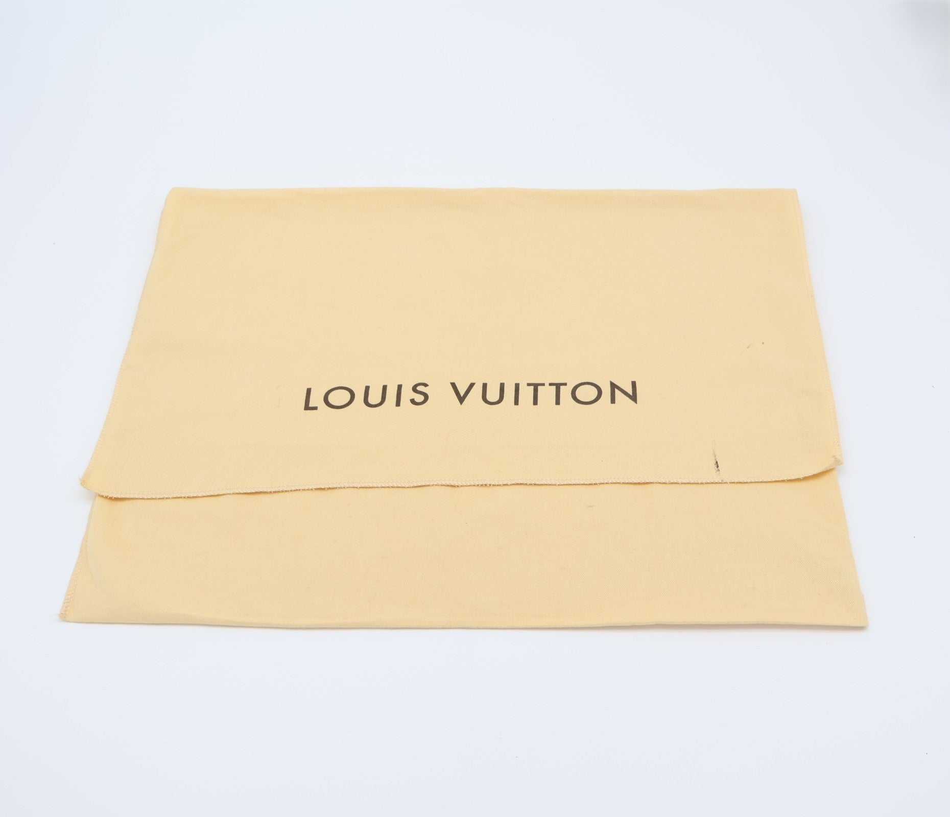 Louis Vuitton Iéna PM Damier Ebene