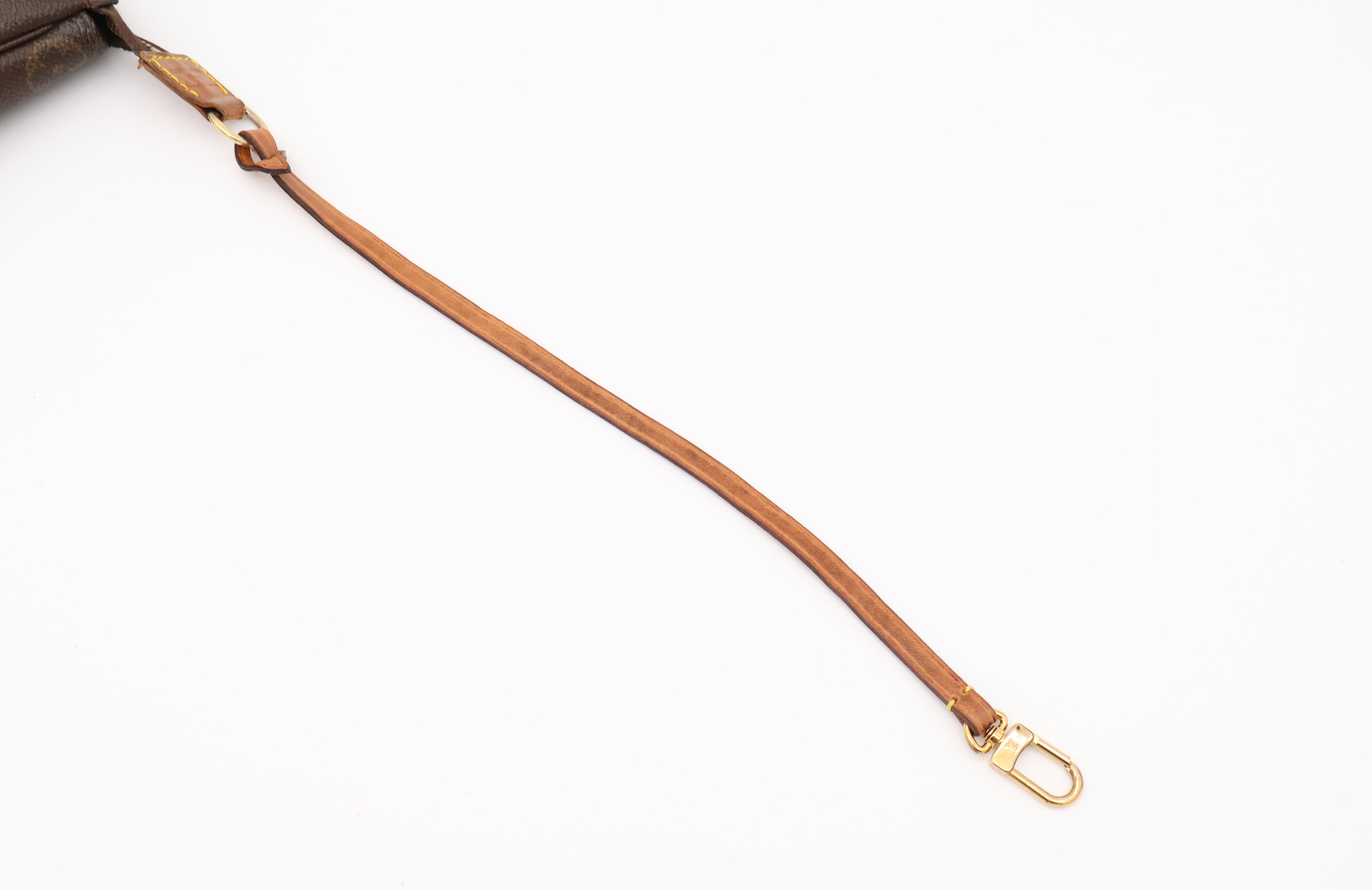 Louis Vuitton Pochette Accessoires