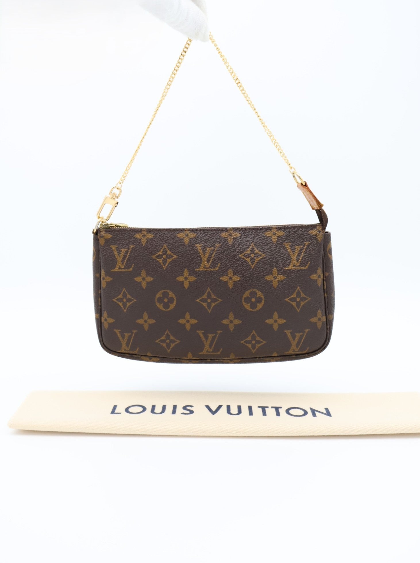 Louis Vuitton Pochette Accessoires