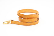 Louis Vuitton Vachetta Hihna