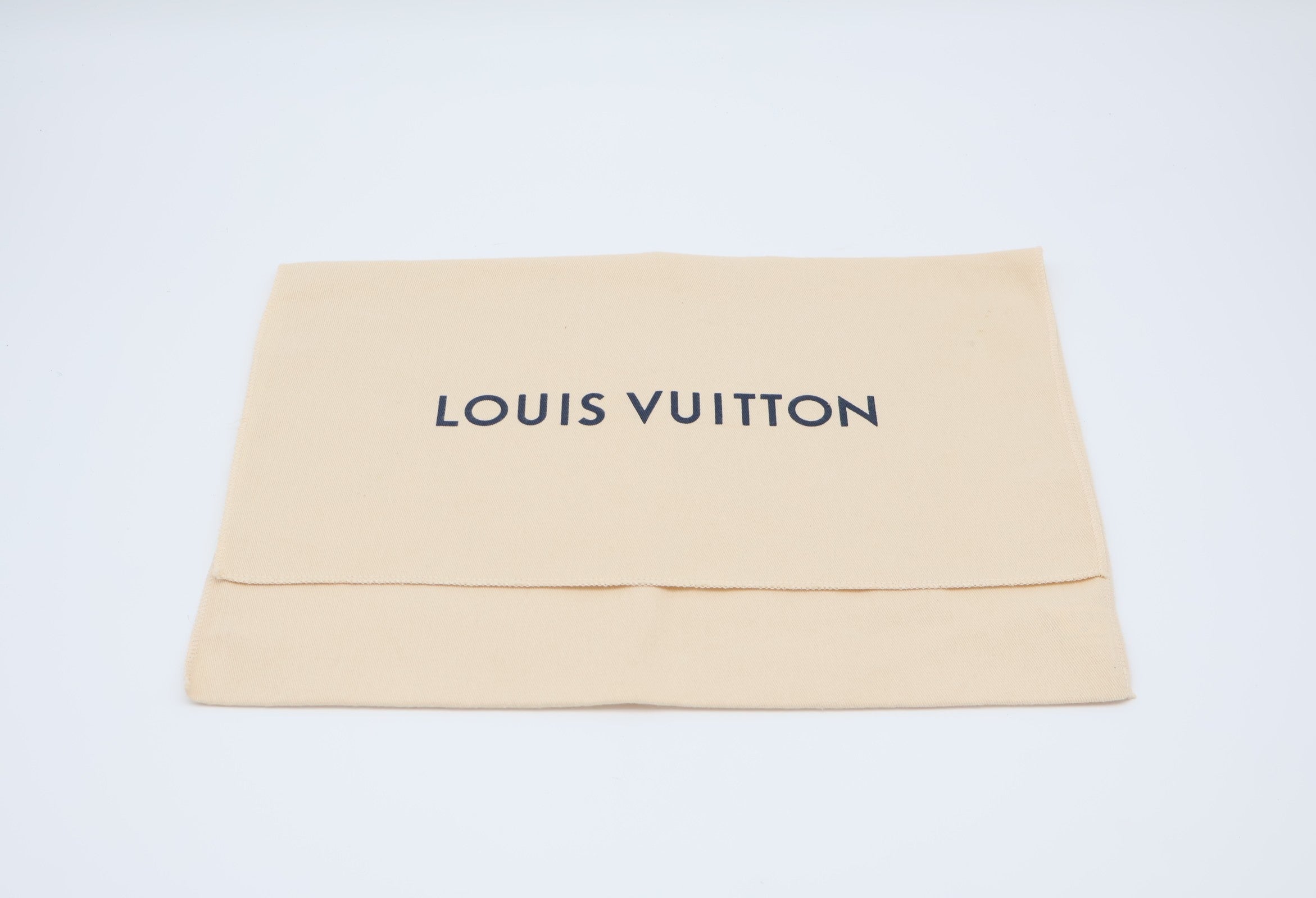 Louis Vuitton Neverfull Pochette