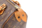 Louis Vuitton Speedy 25