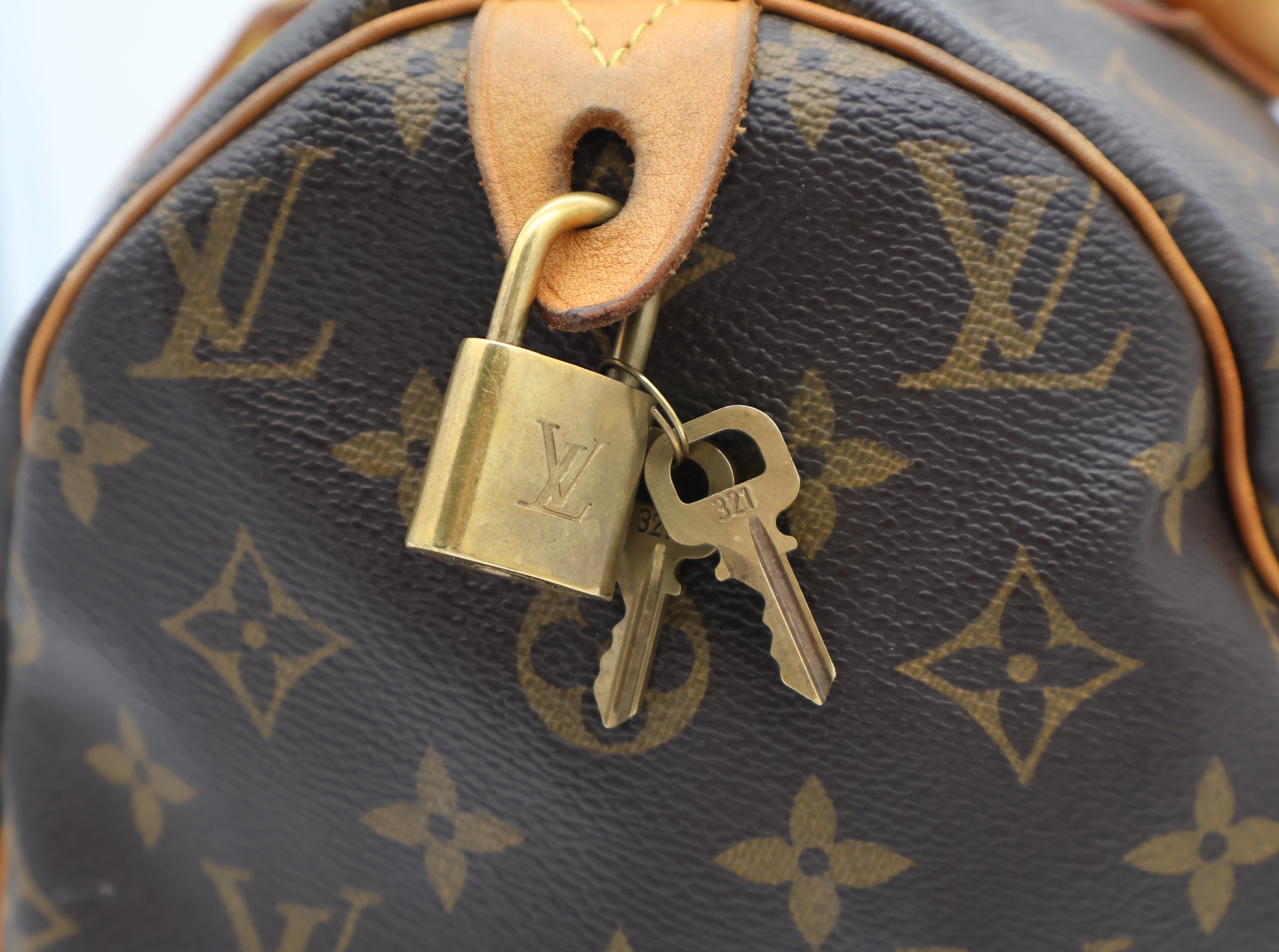 Louis Vuitton Speedy 30