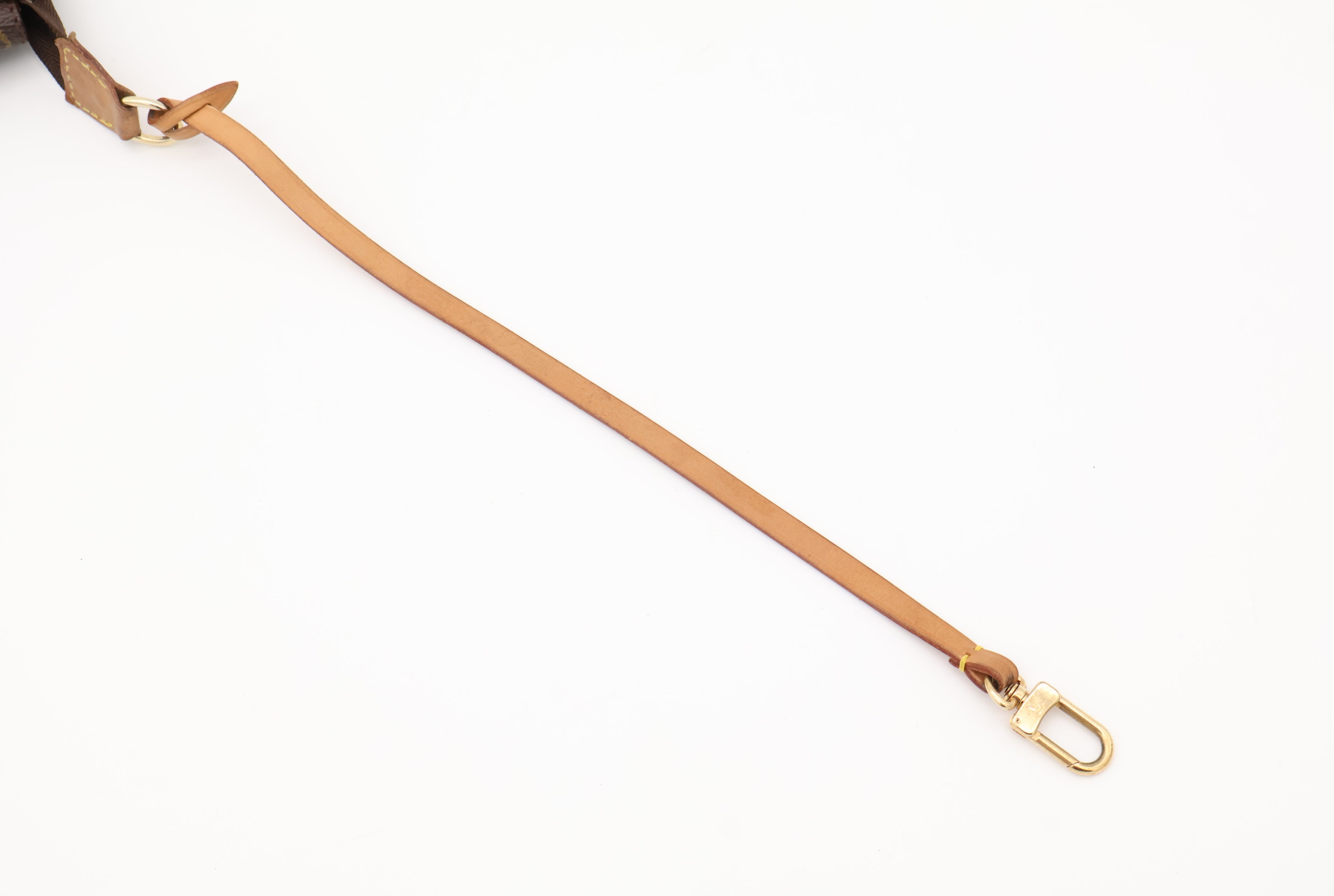 Louis Vuitton Pochette Accessoires