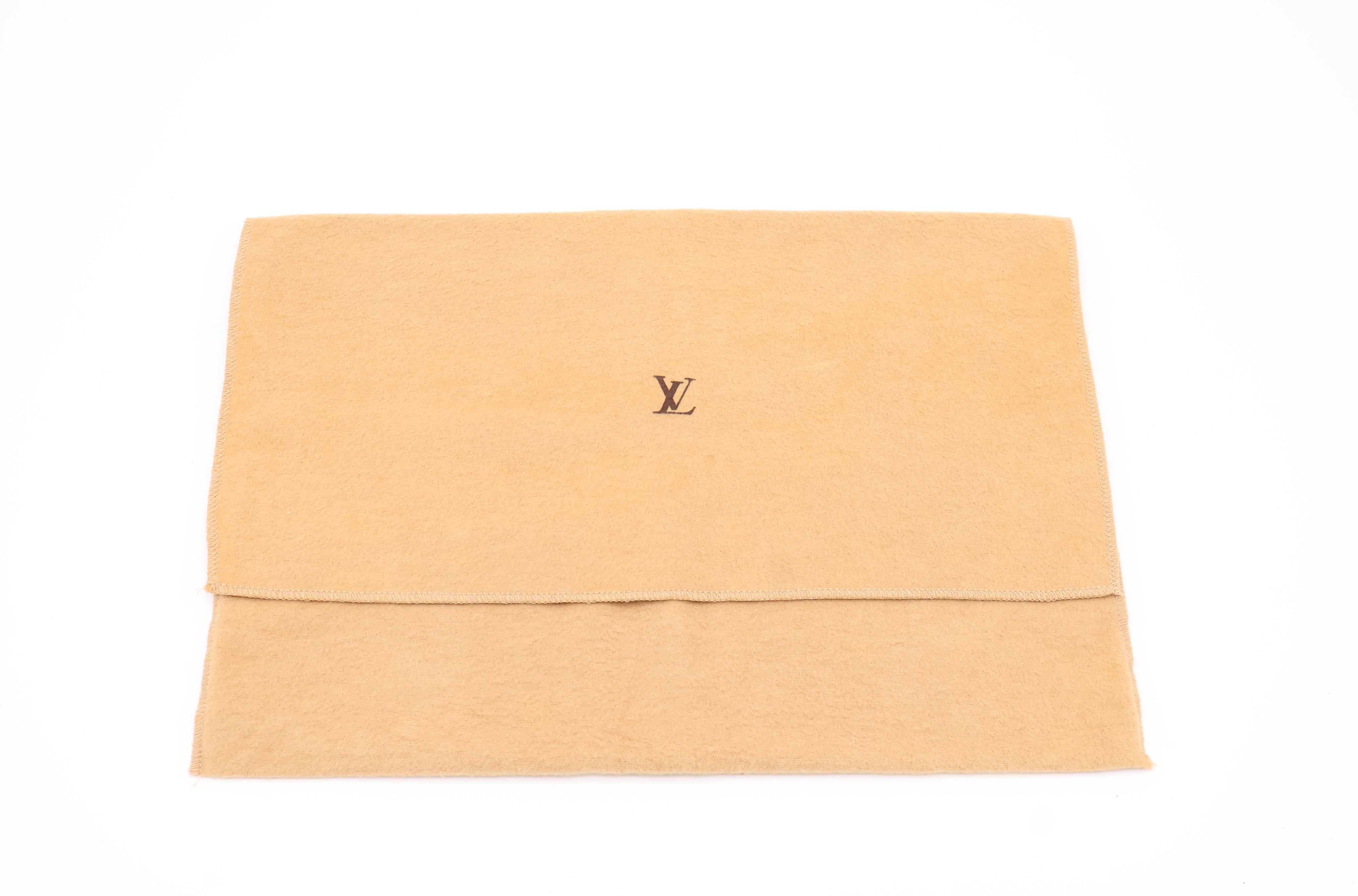 Louis Vuitton Pochette Accessoires