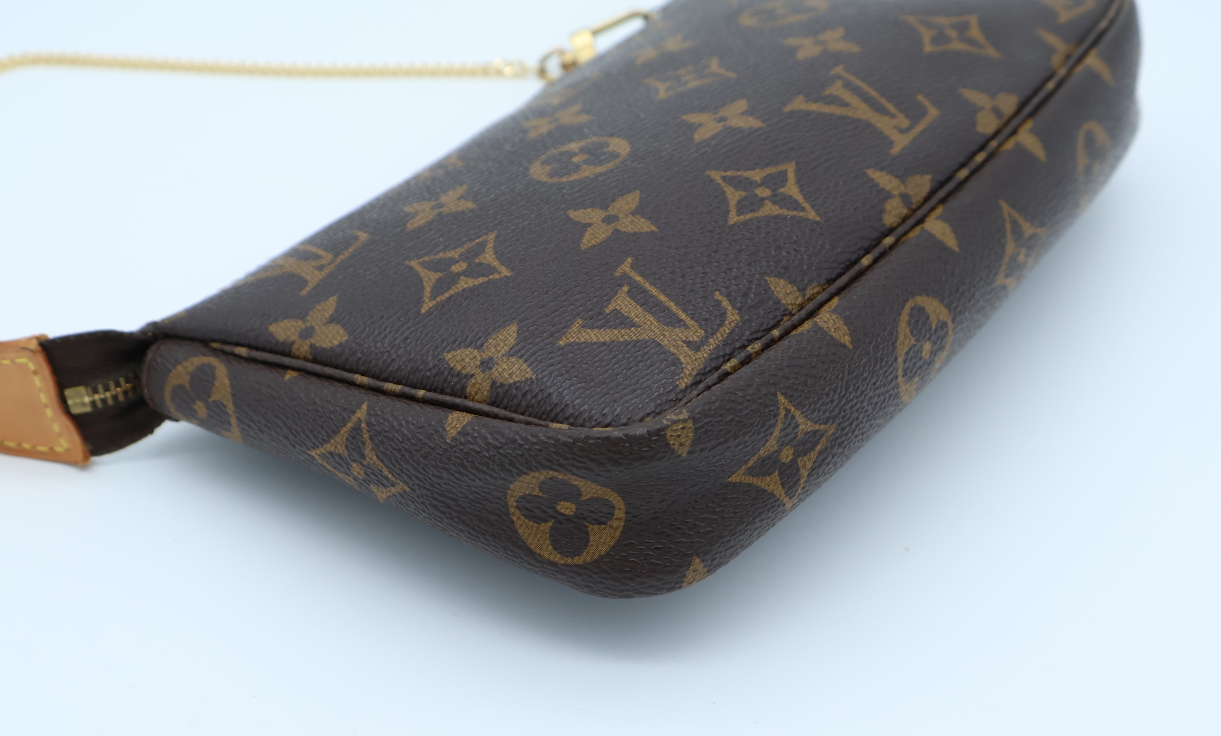 Louis Vuitton Pochette Accessoires