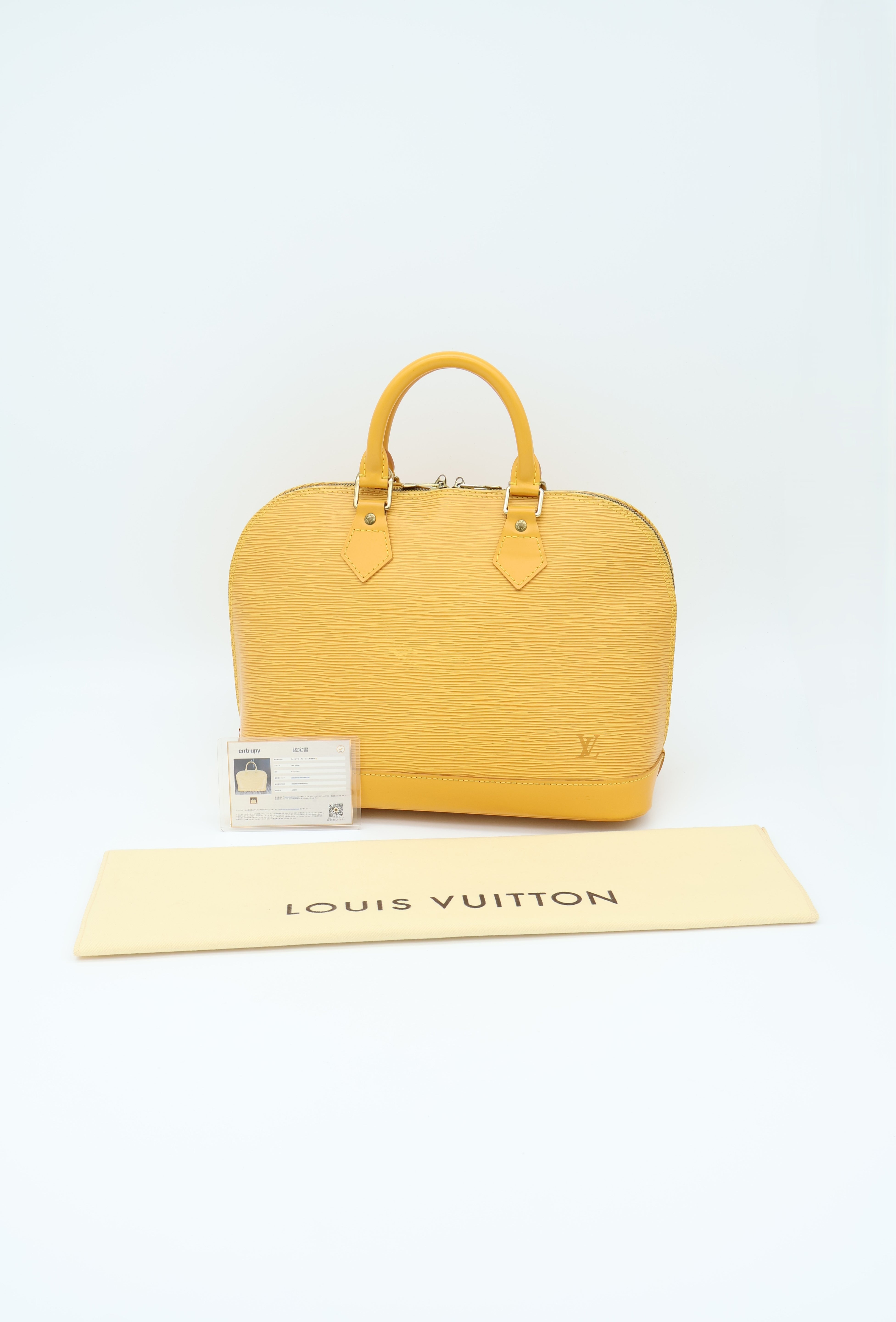 Louis Vuitton Alma PM Epi