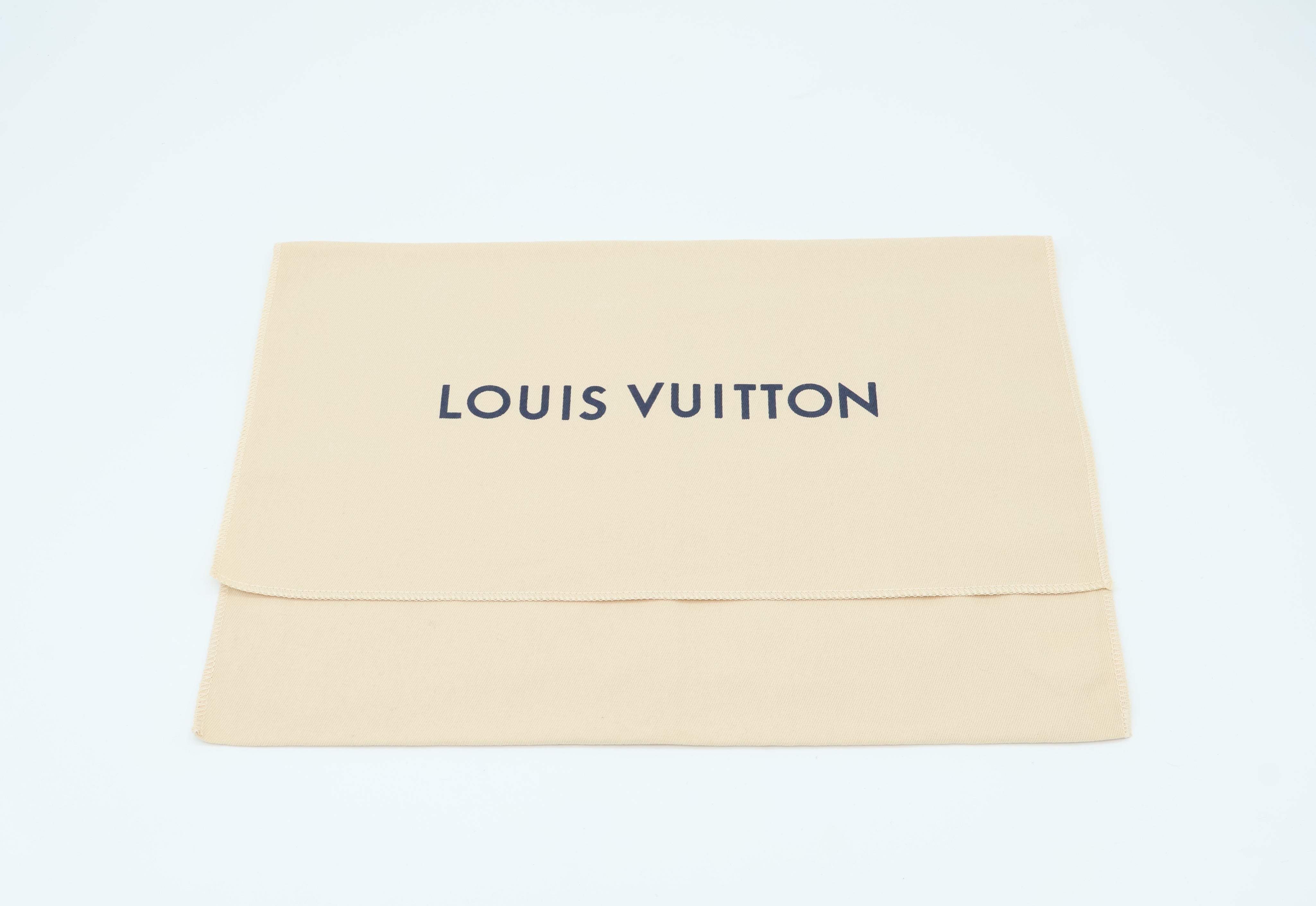 Louis Vuitton Pochette Accessoires