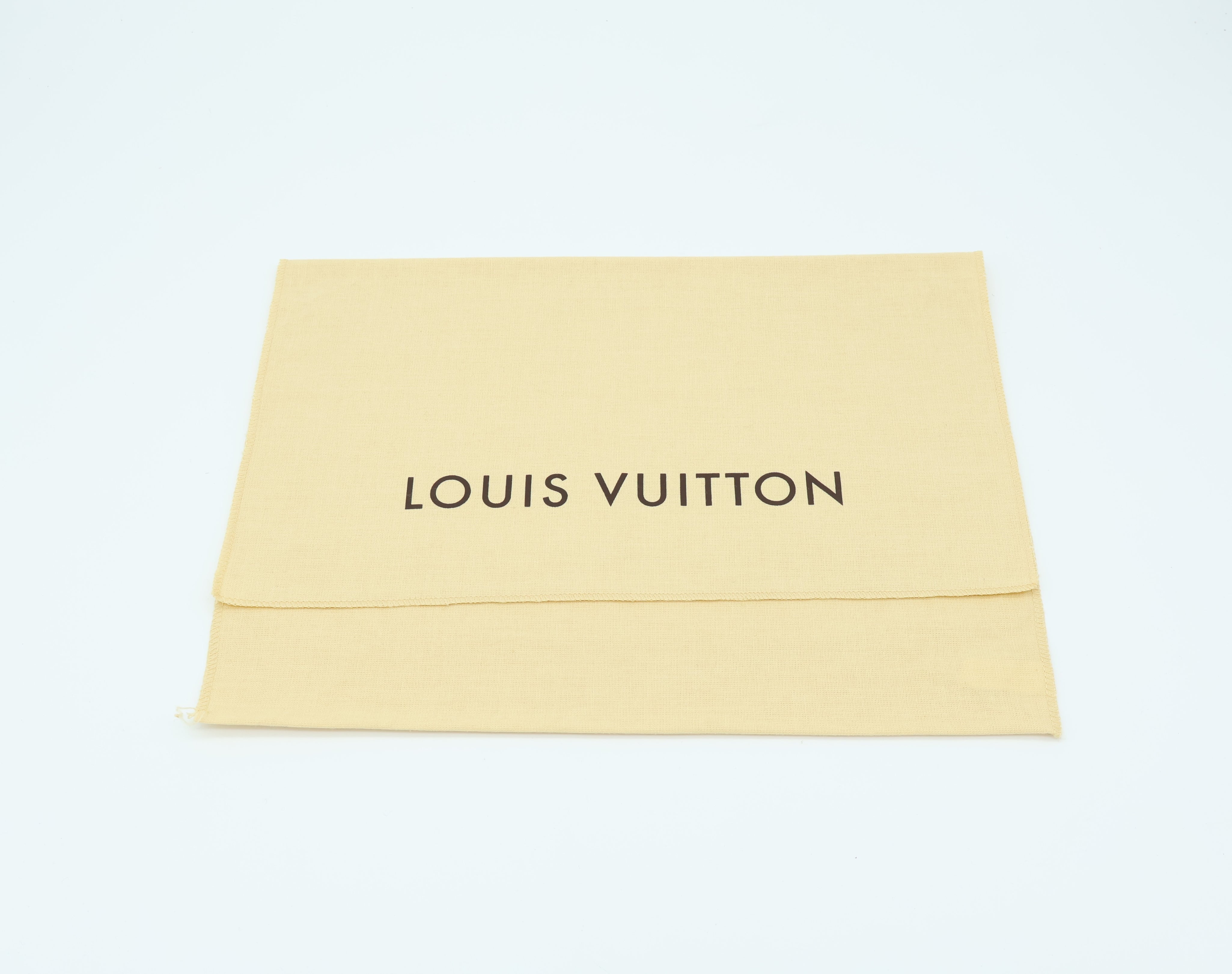 Louis Vuitton Pochette Accessoires