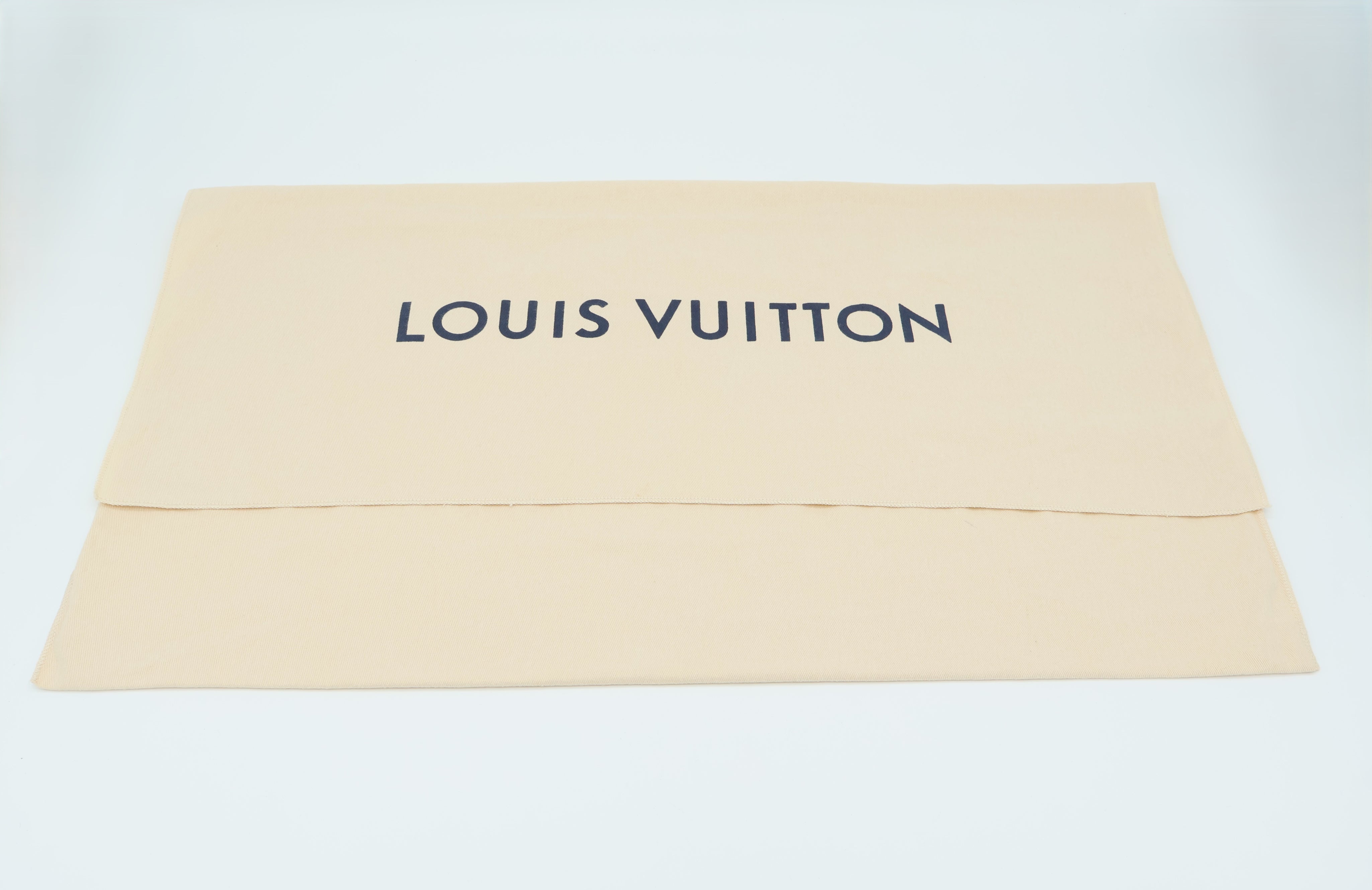 Louis Vuitton Artsy MM Monogram